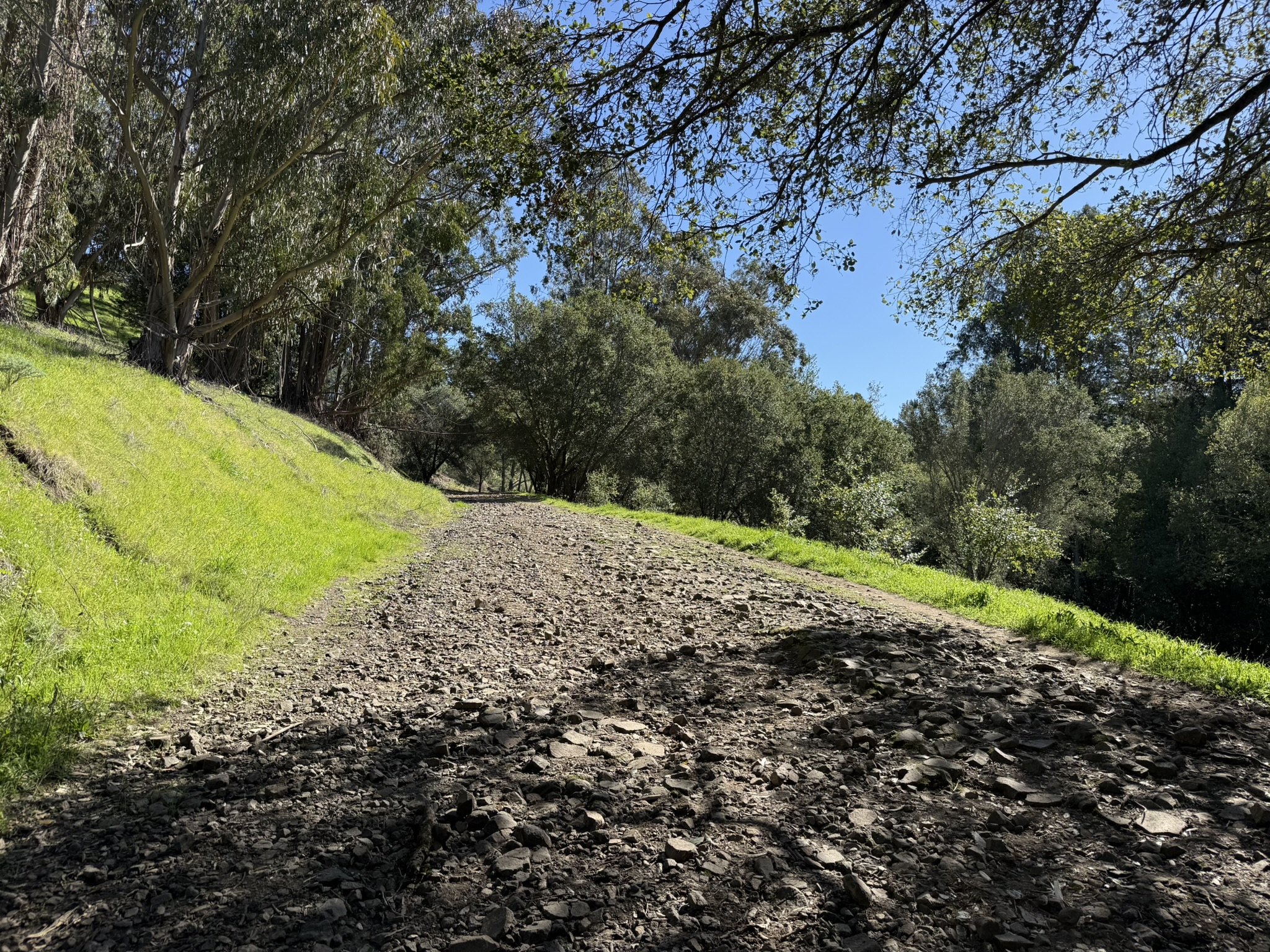 Tilden Regional Park East