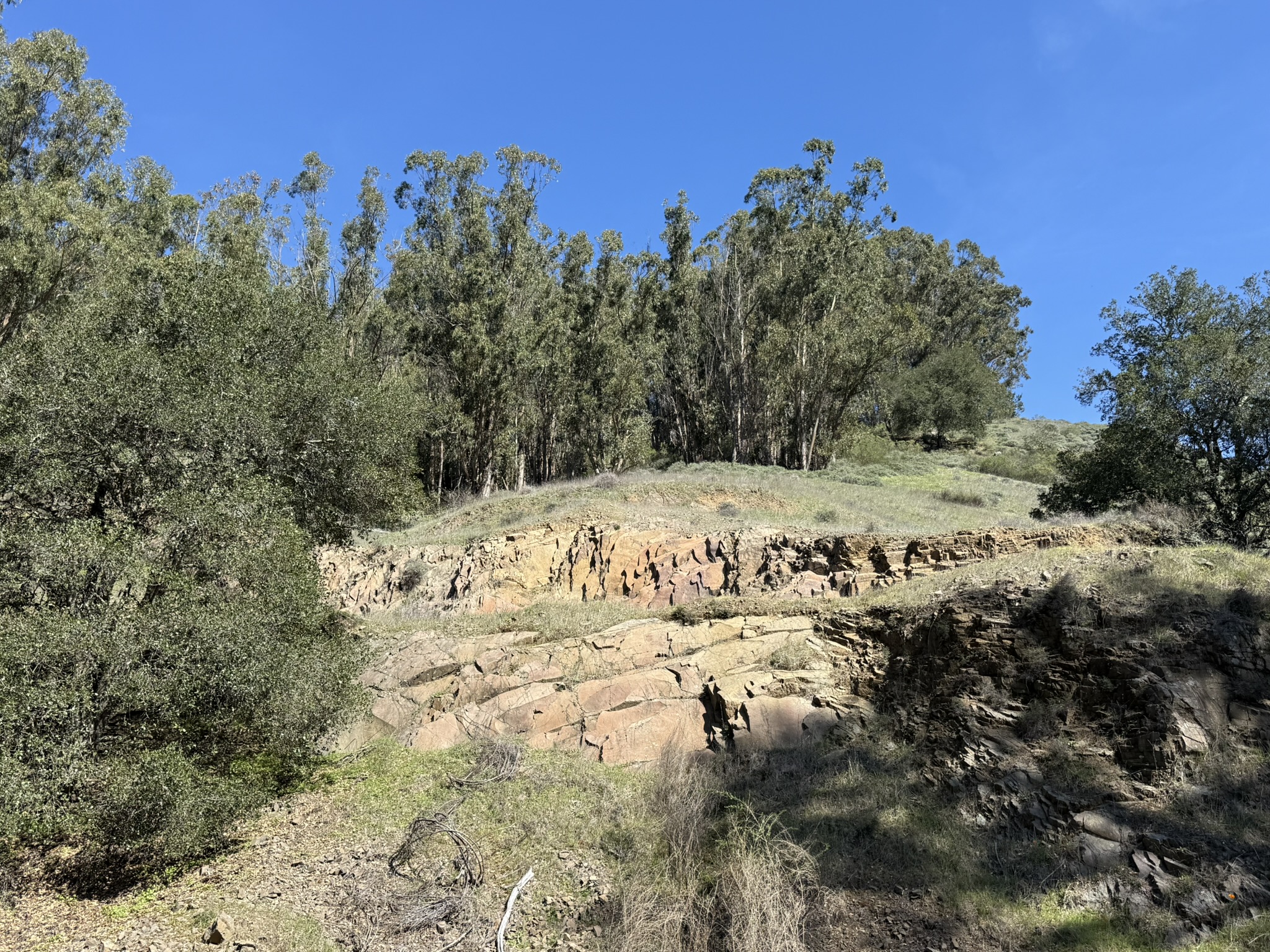 Tilden Regional Park East