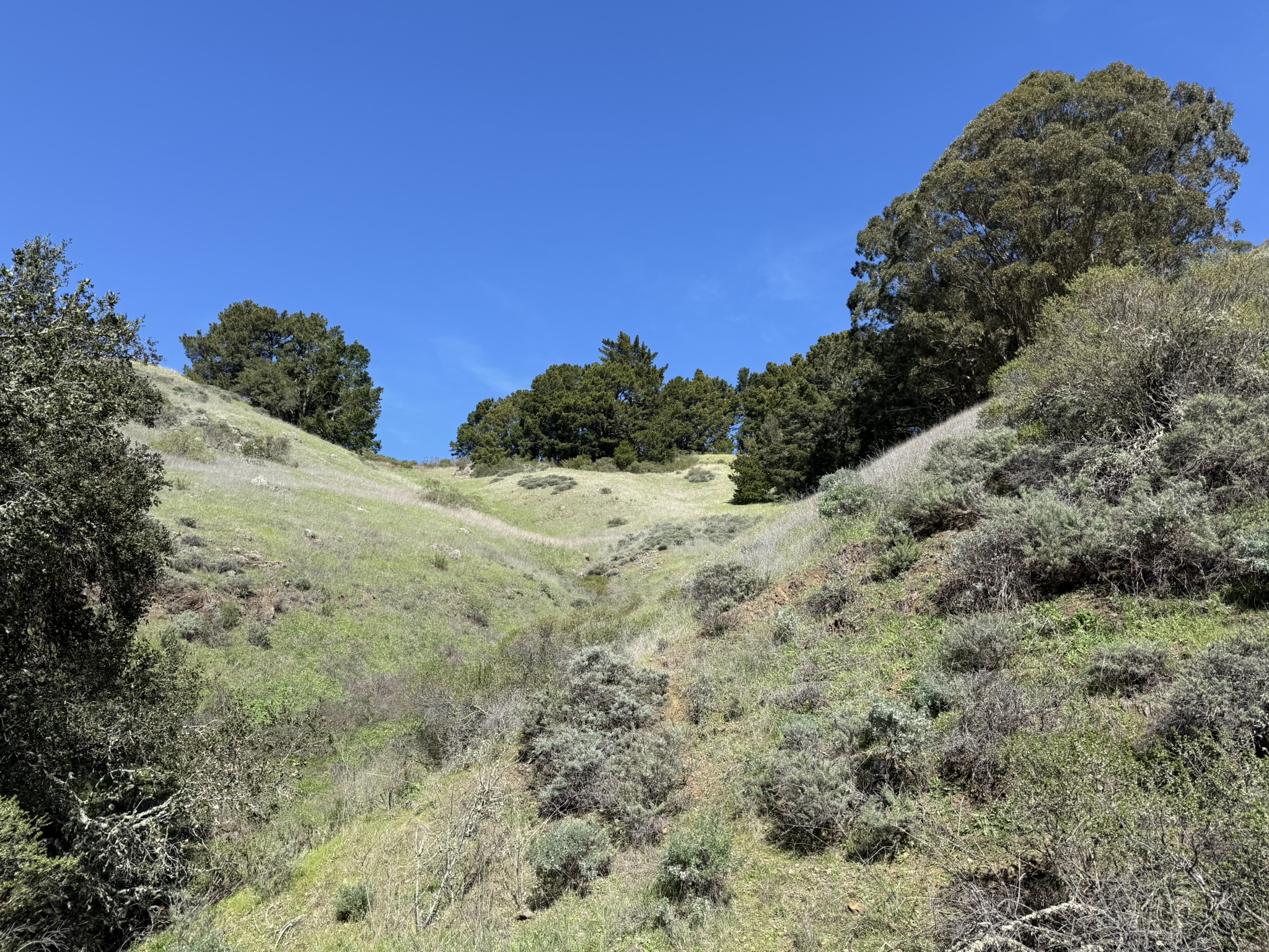 Tilden Regional Park East