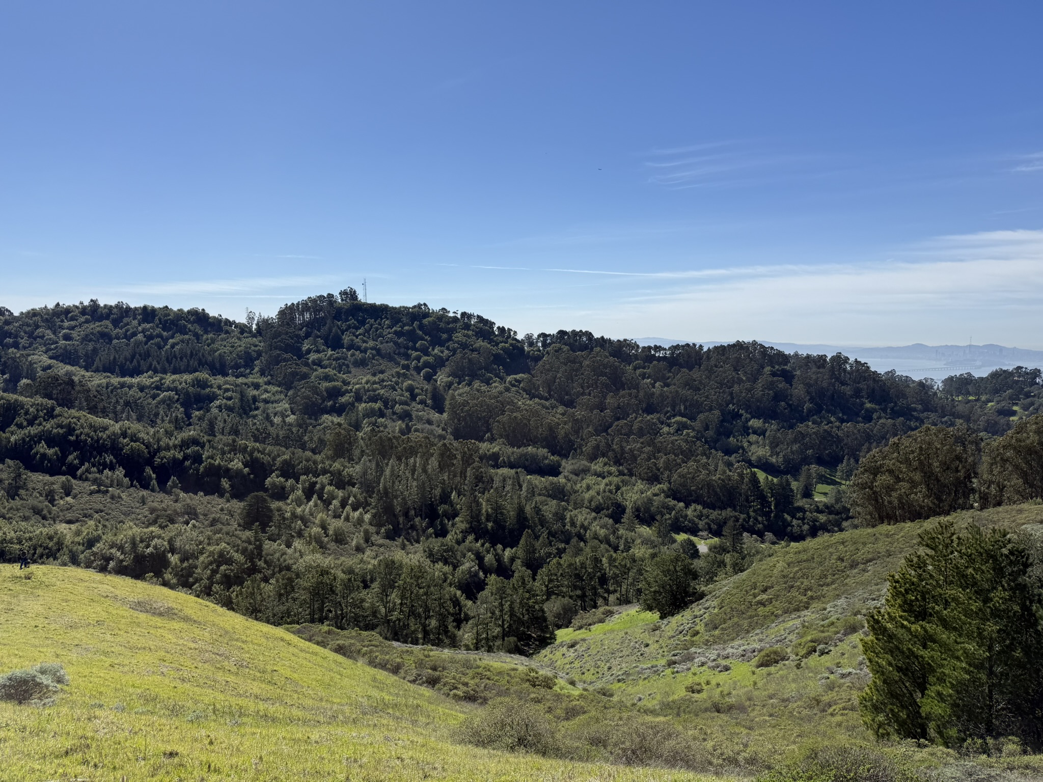 Tilden Regional Park East