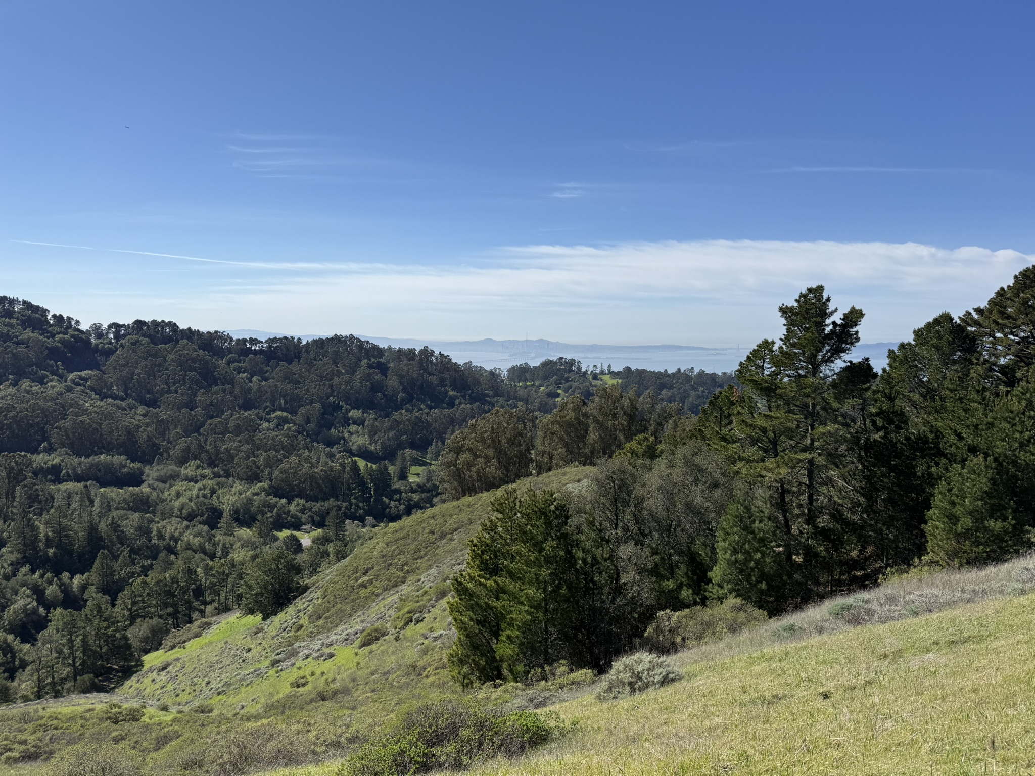 Tilden Regional Park East