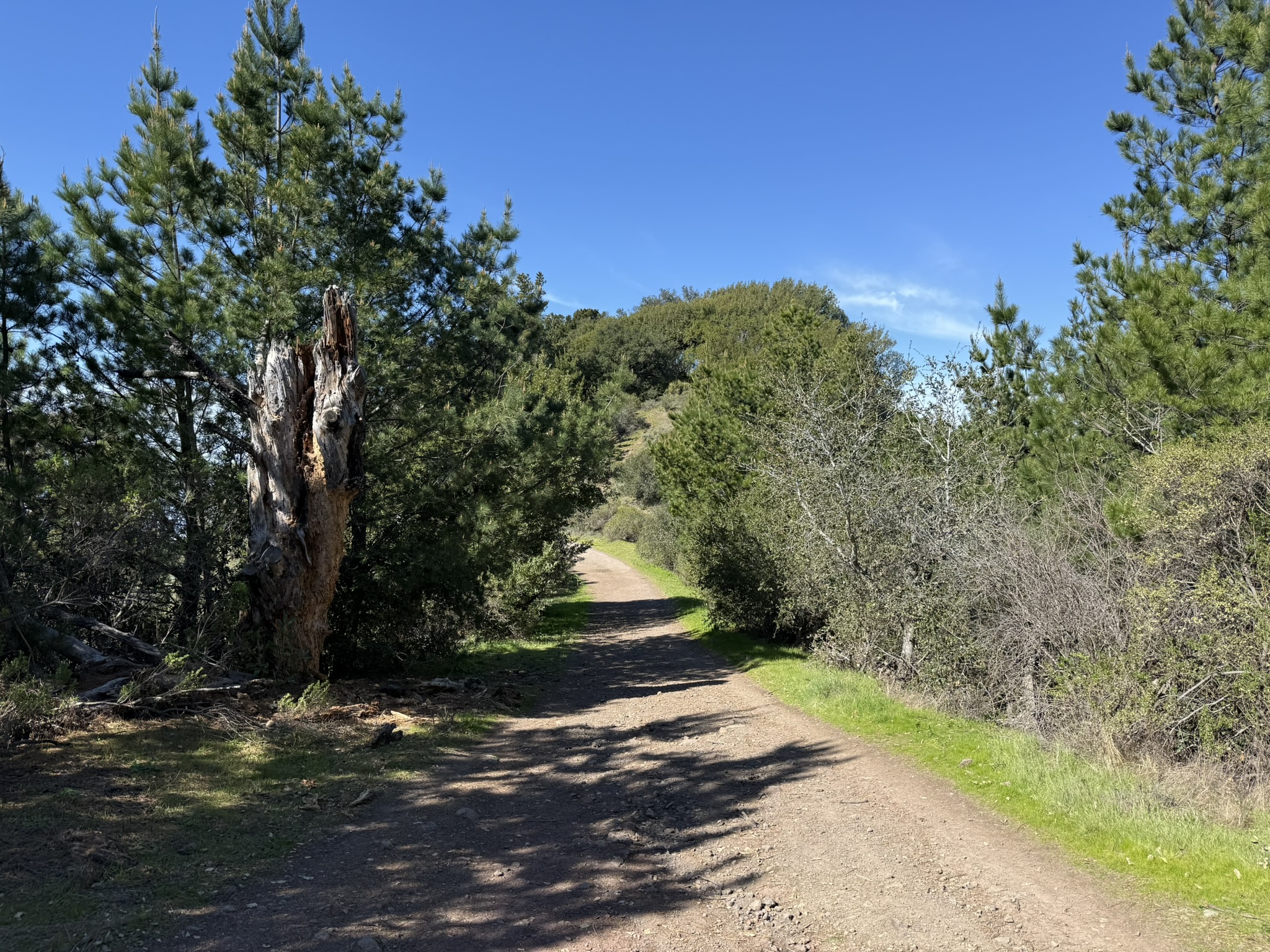 Tilden Regional Park East