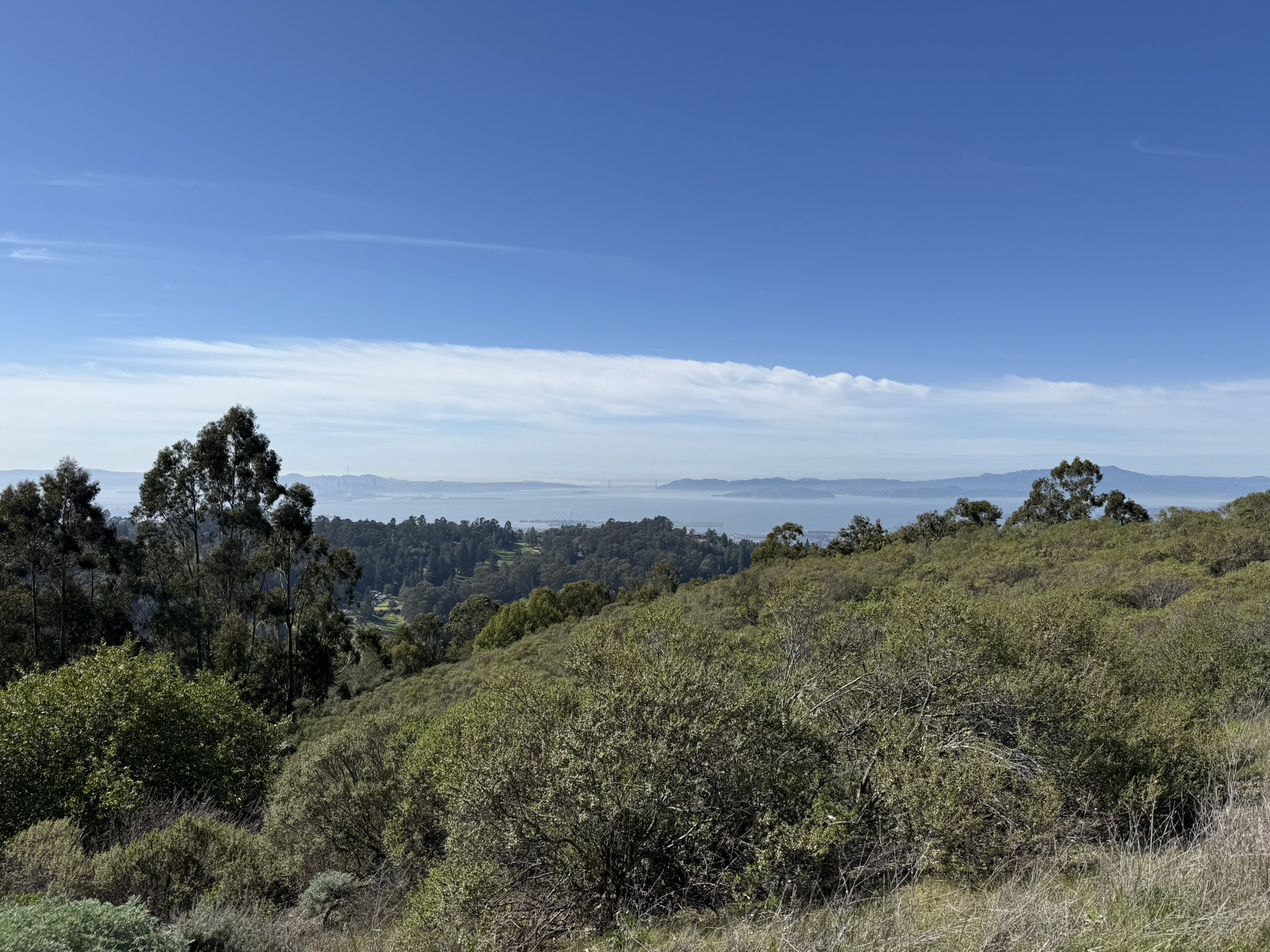 Tilden Regional Park East