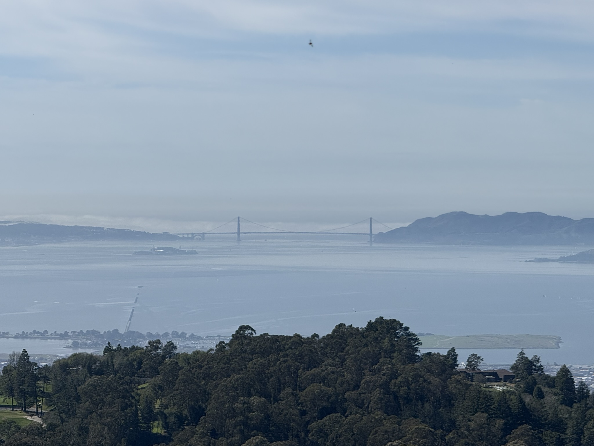 Tilden Regional Park East