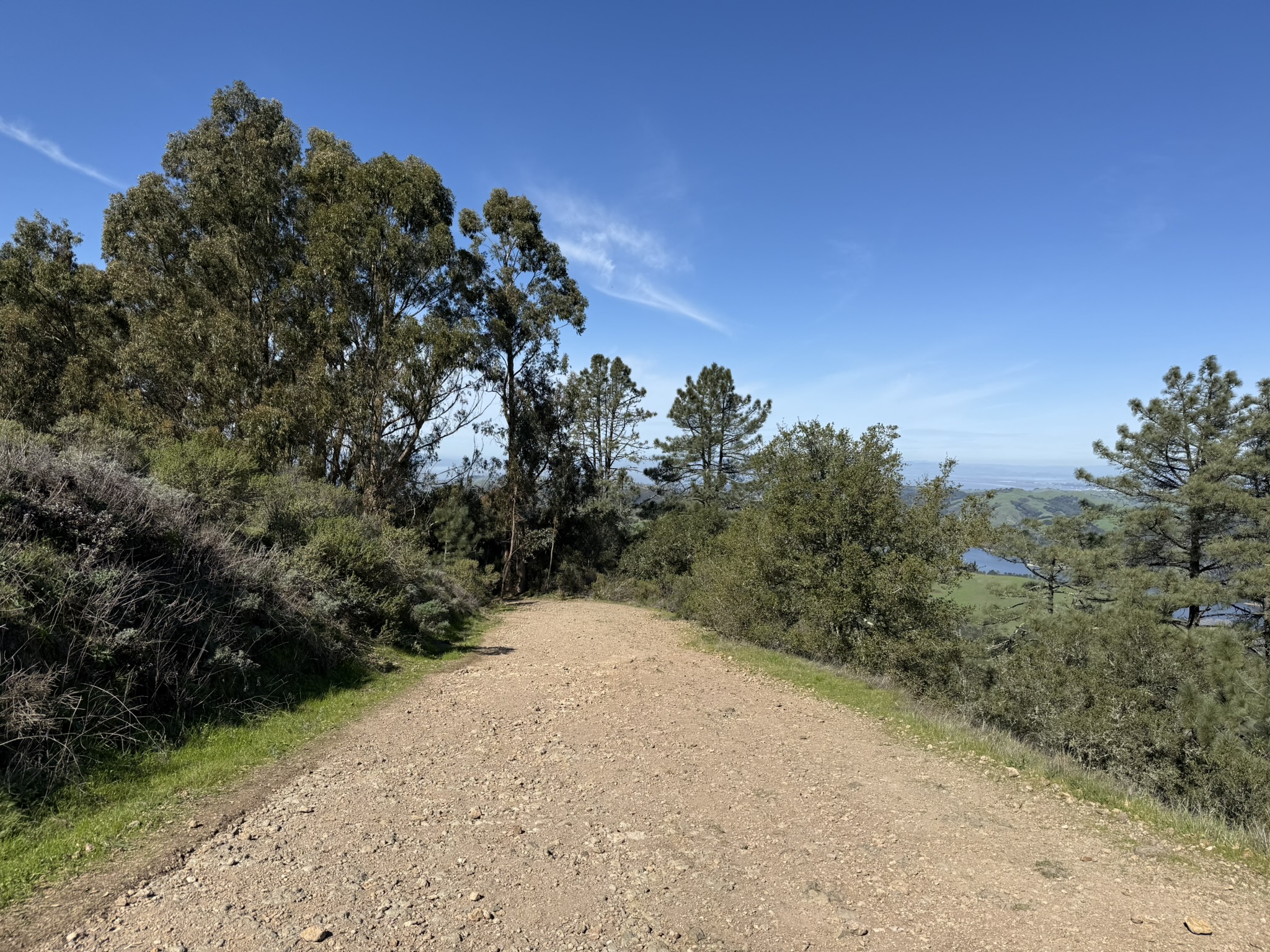 Tilden Regional Park East