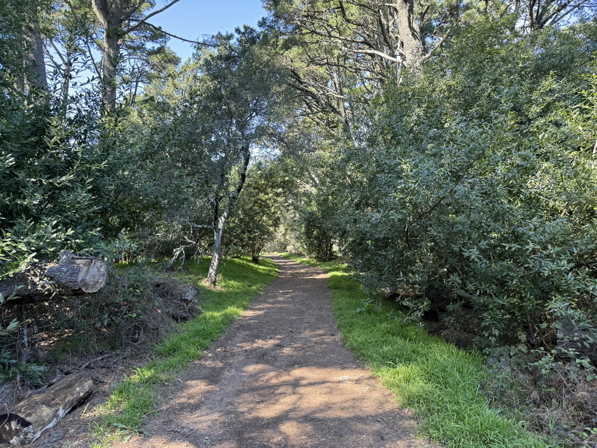 Tilden Regional Park East