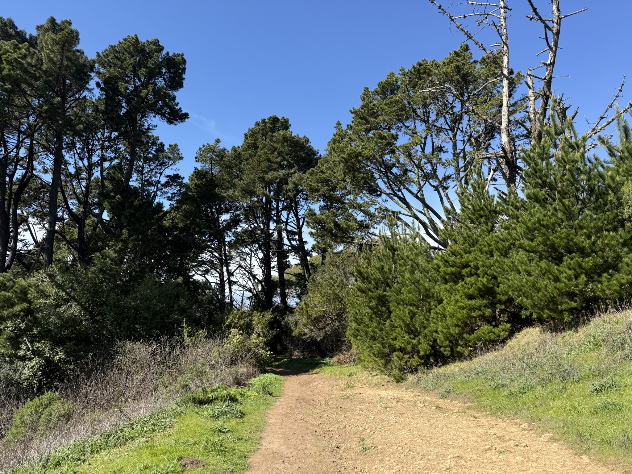 Tilden Regional Park East