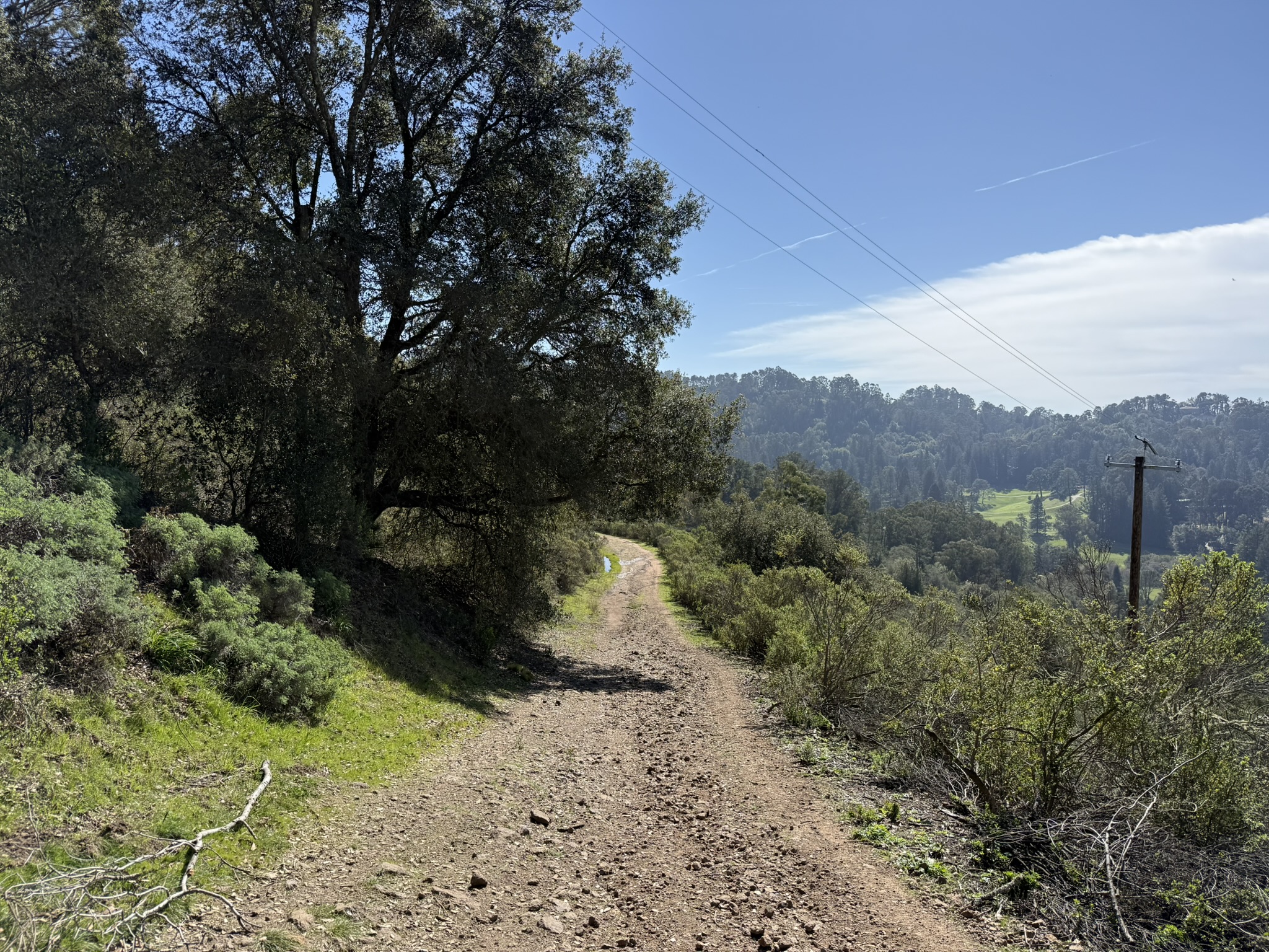 Tilden Regional Park East