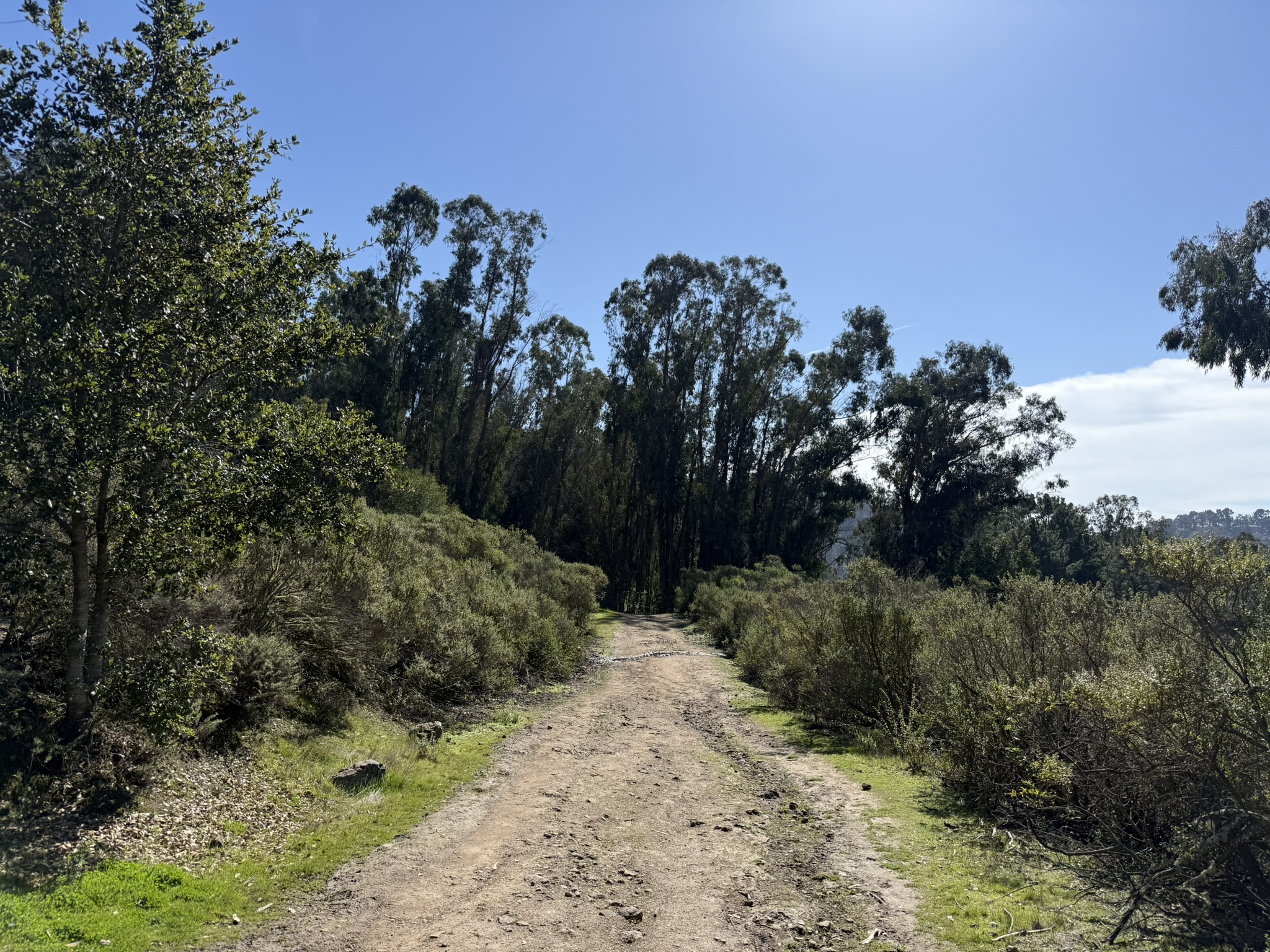 Tilden Regional Park East