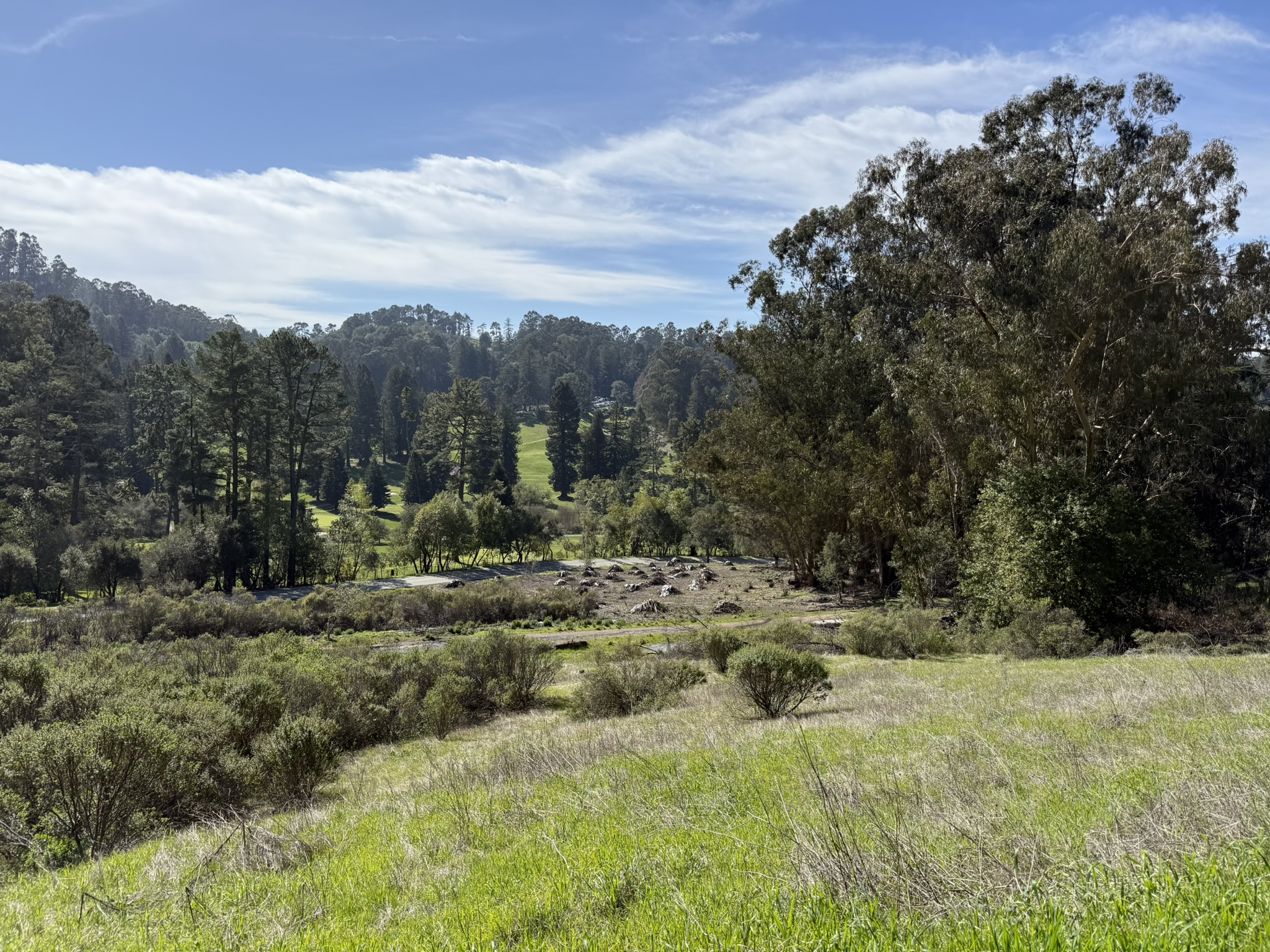 Tilden Regional Park East