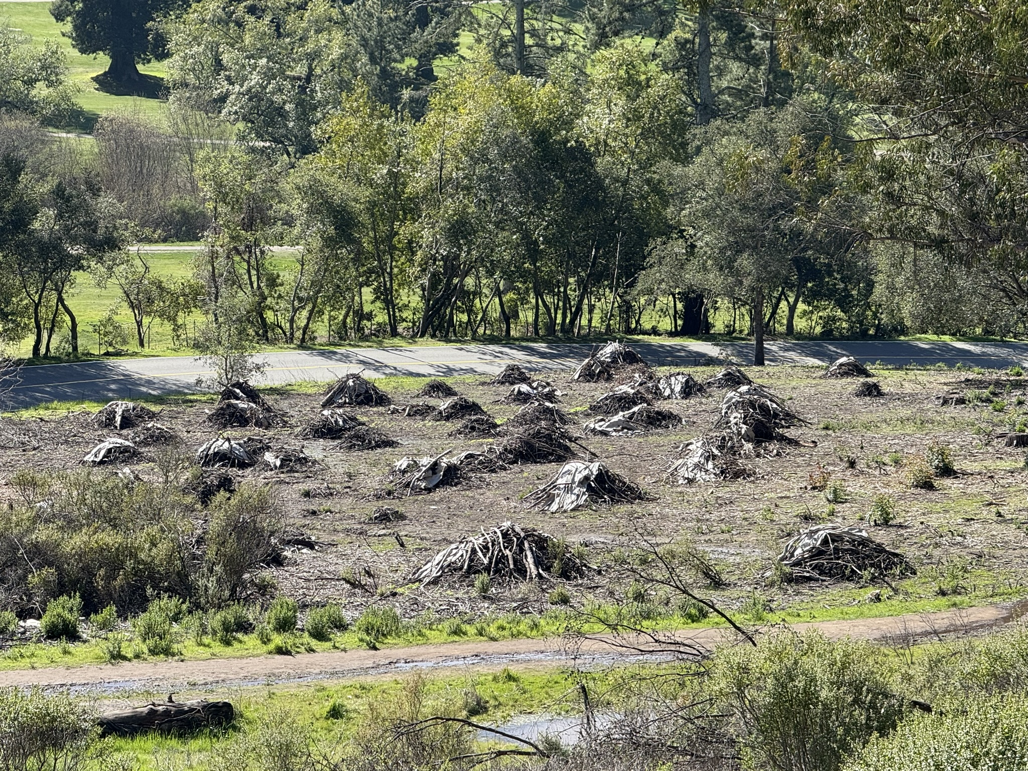 Tilden Regional Park East