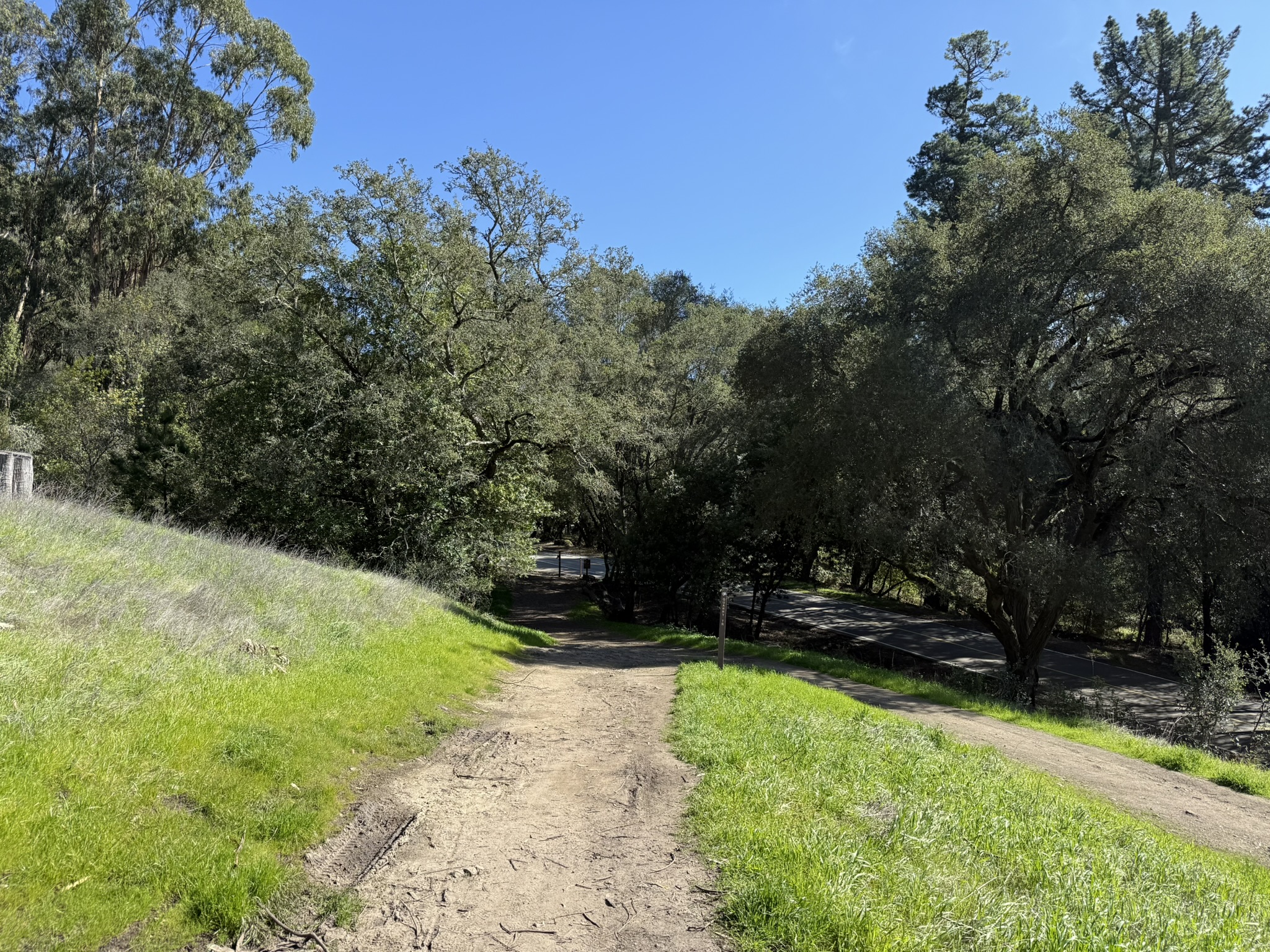 Tilden Regional Park East