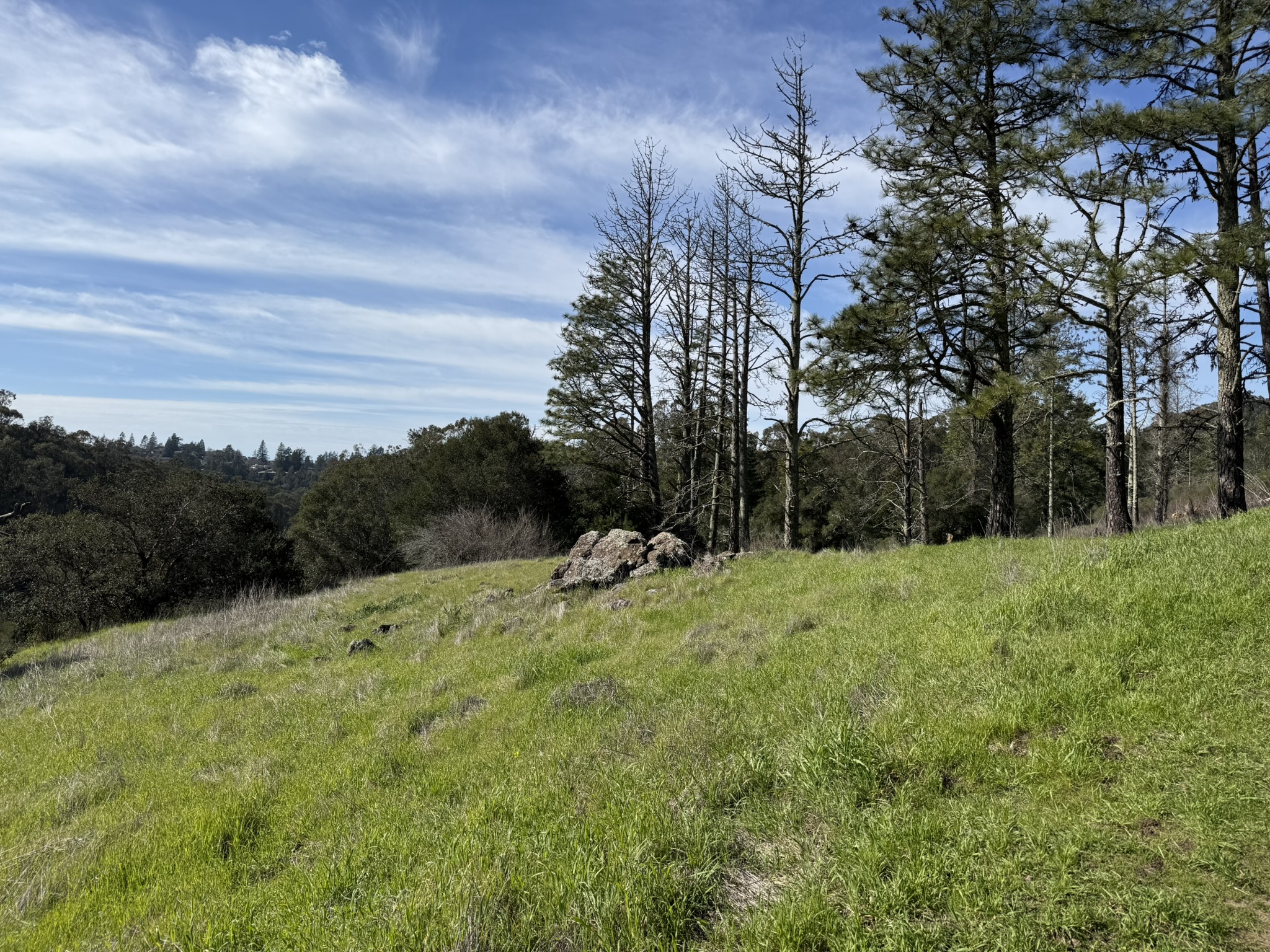 Tilden Regional Park East