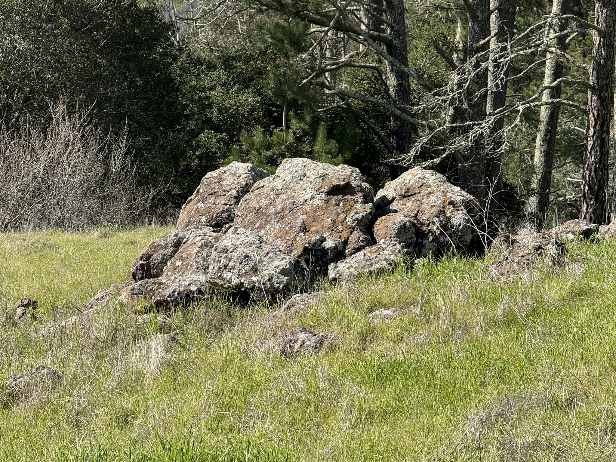 Tilden Regional Park East