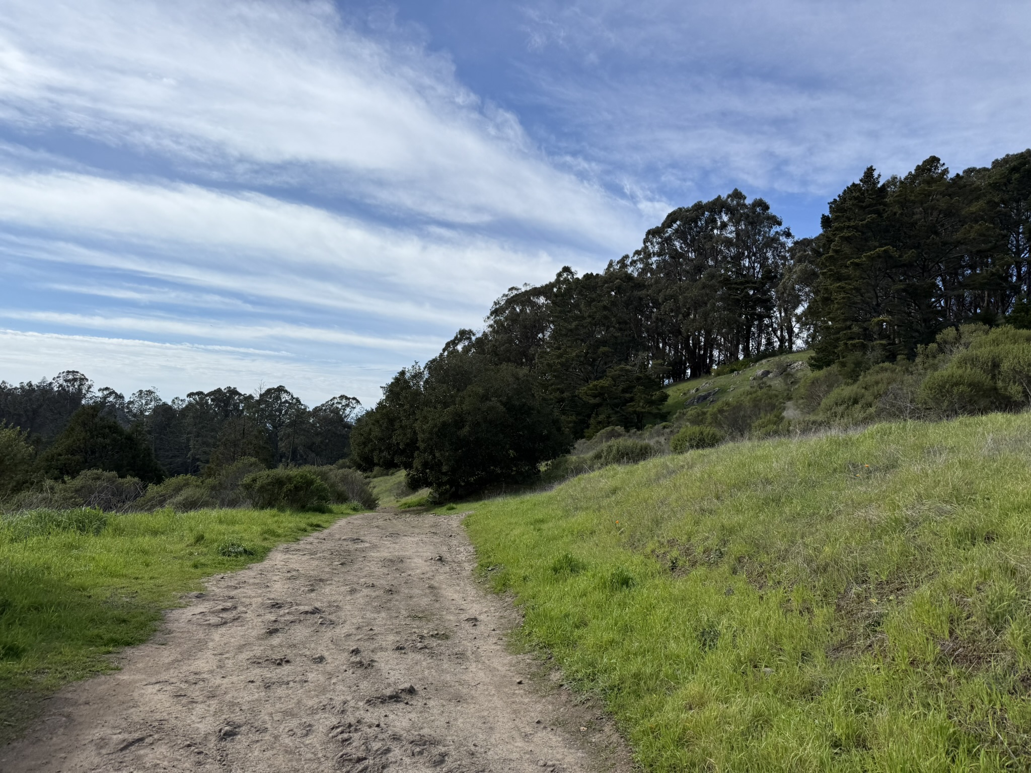 Tilden Regional Park East