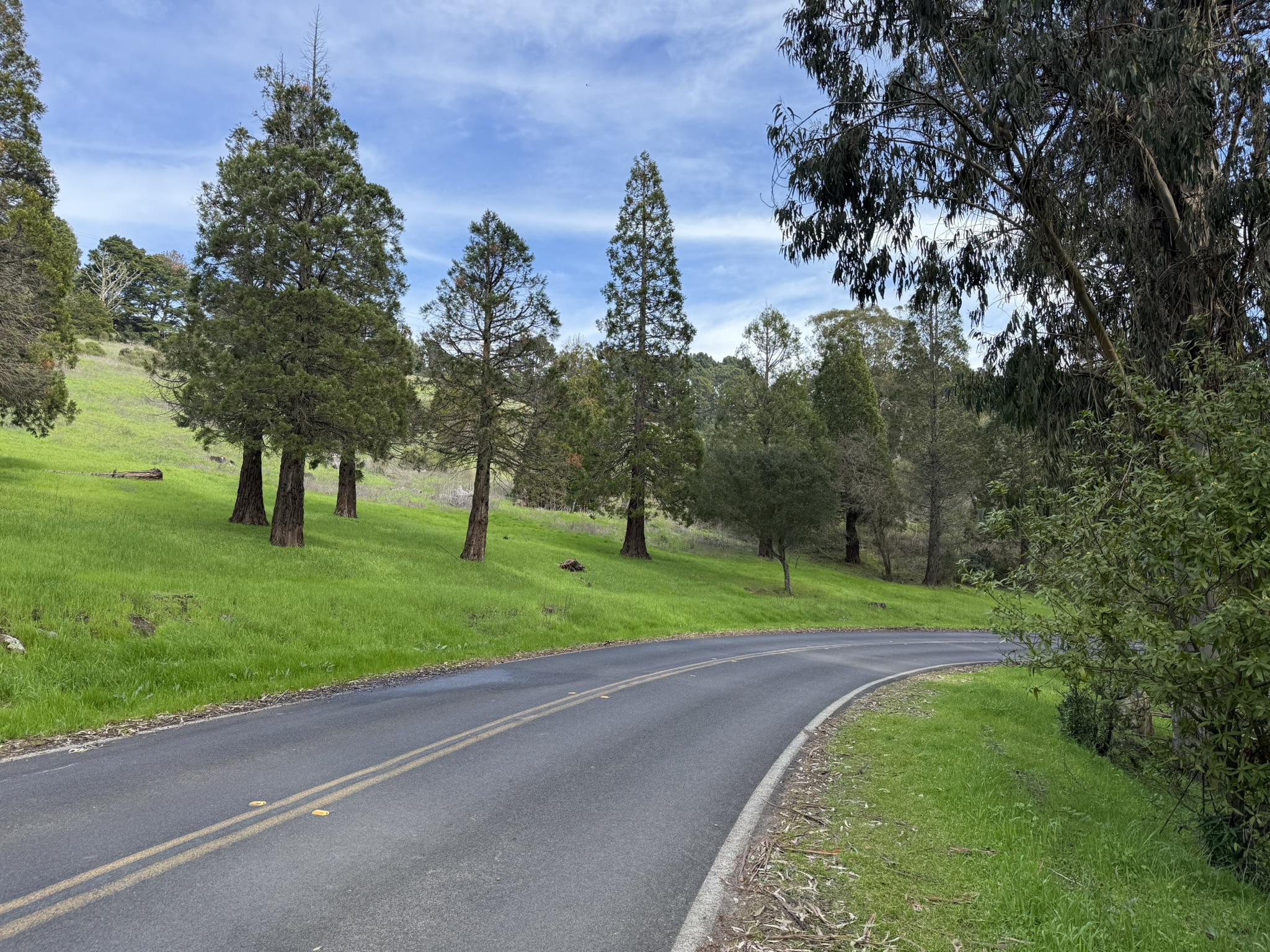 Tilden Regional Park East