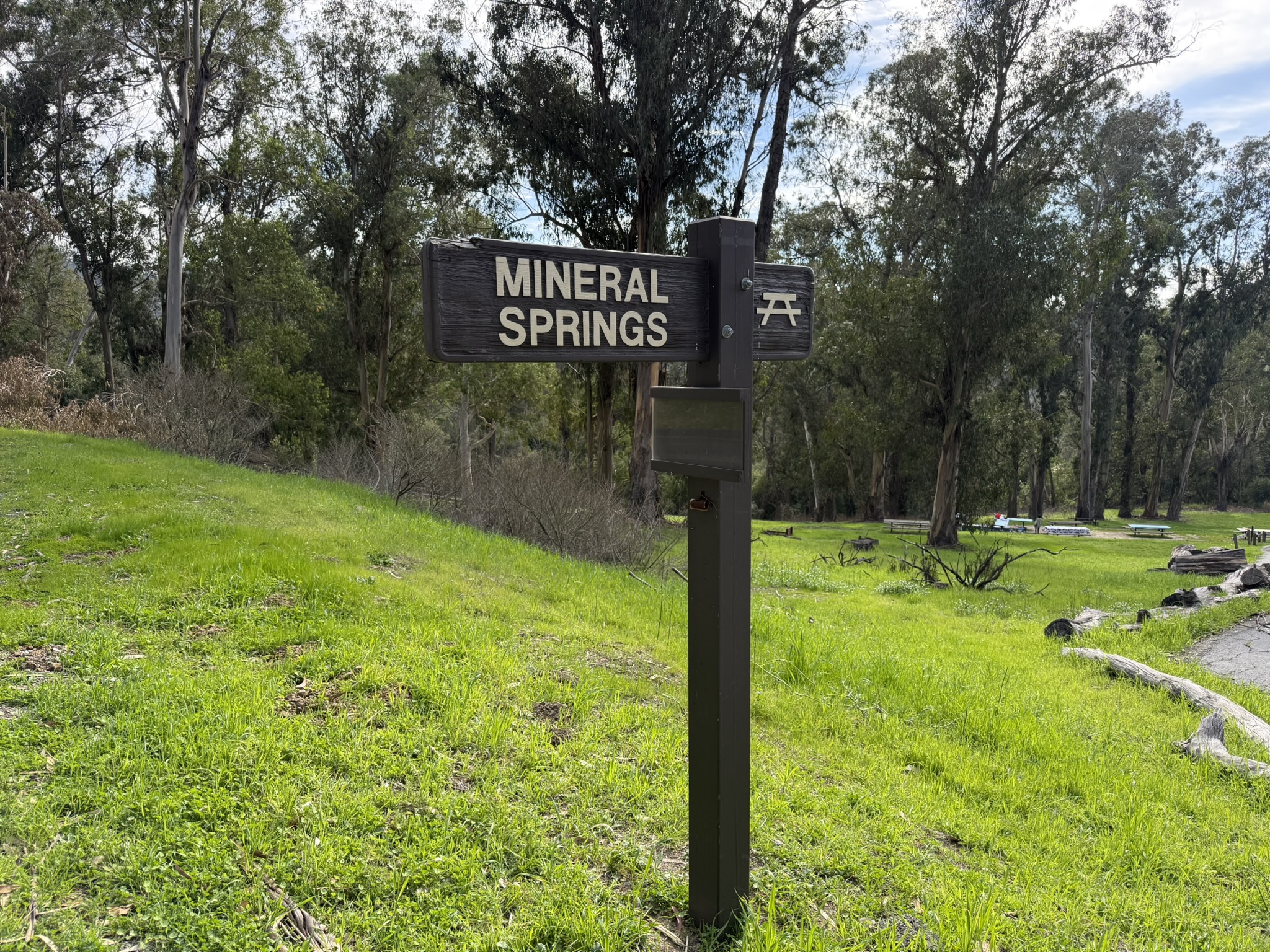 Tilden Regional Park East