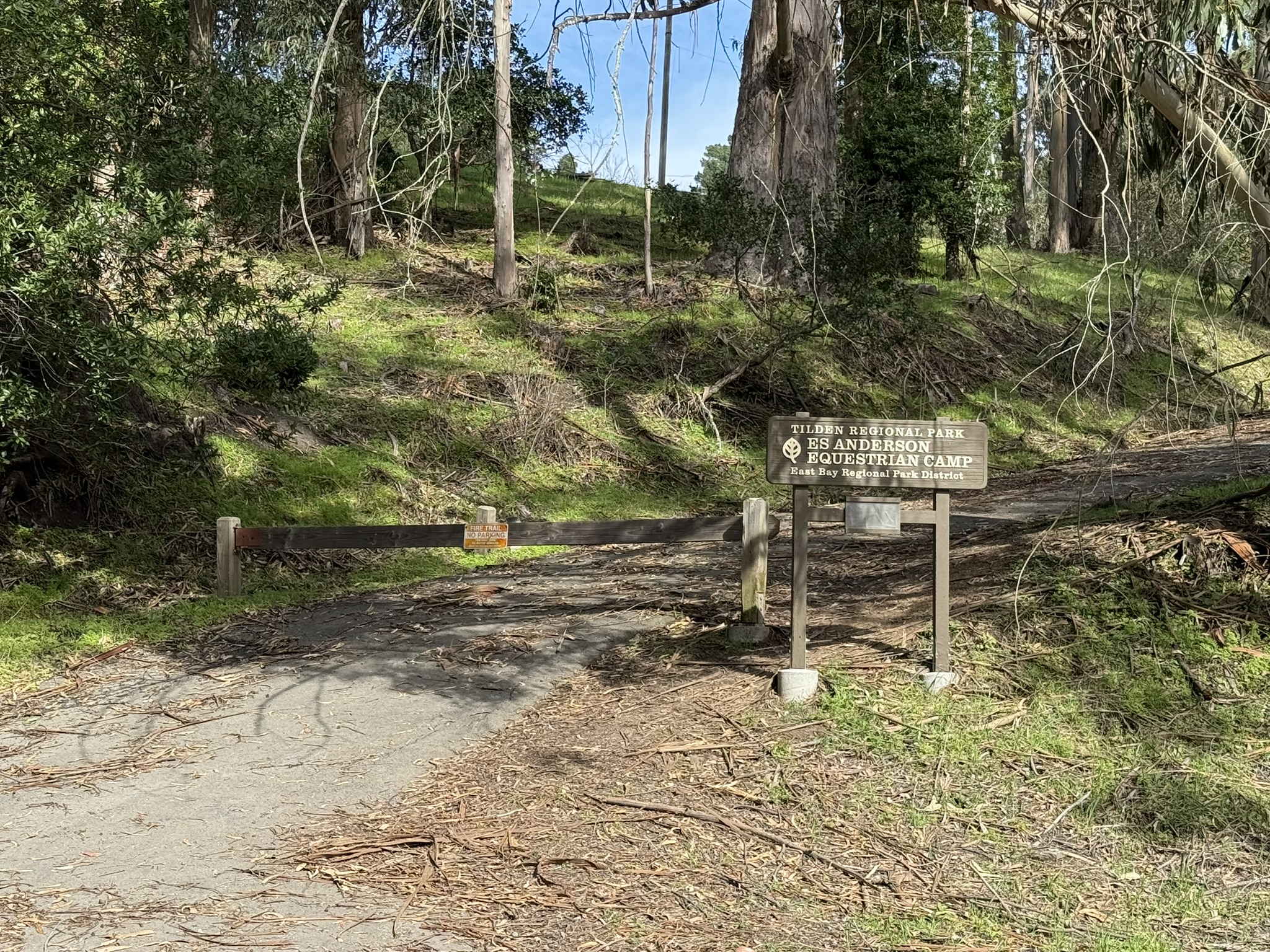 Tilden Regional Park East