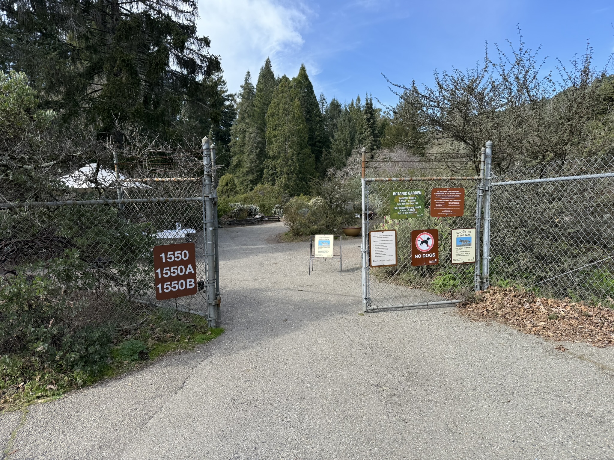 Tilden Regional Park East