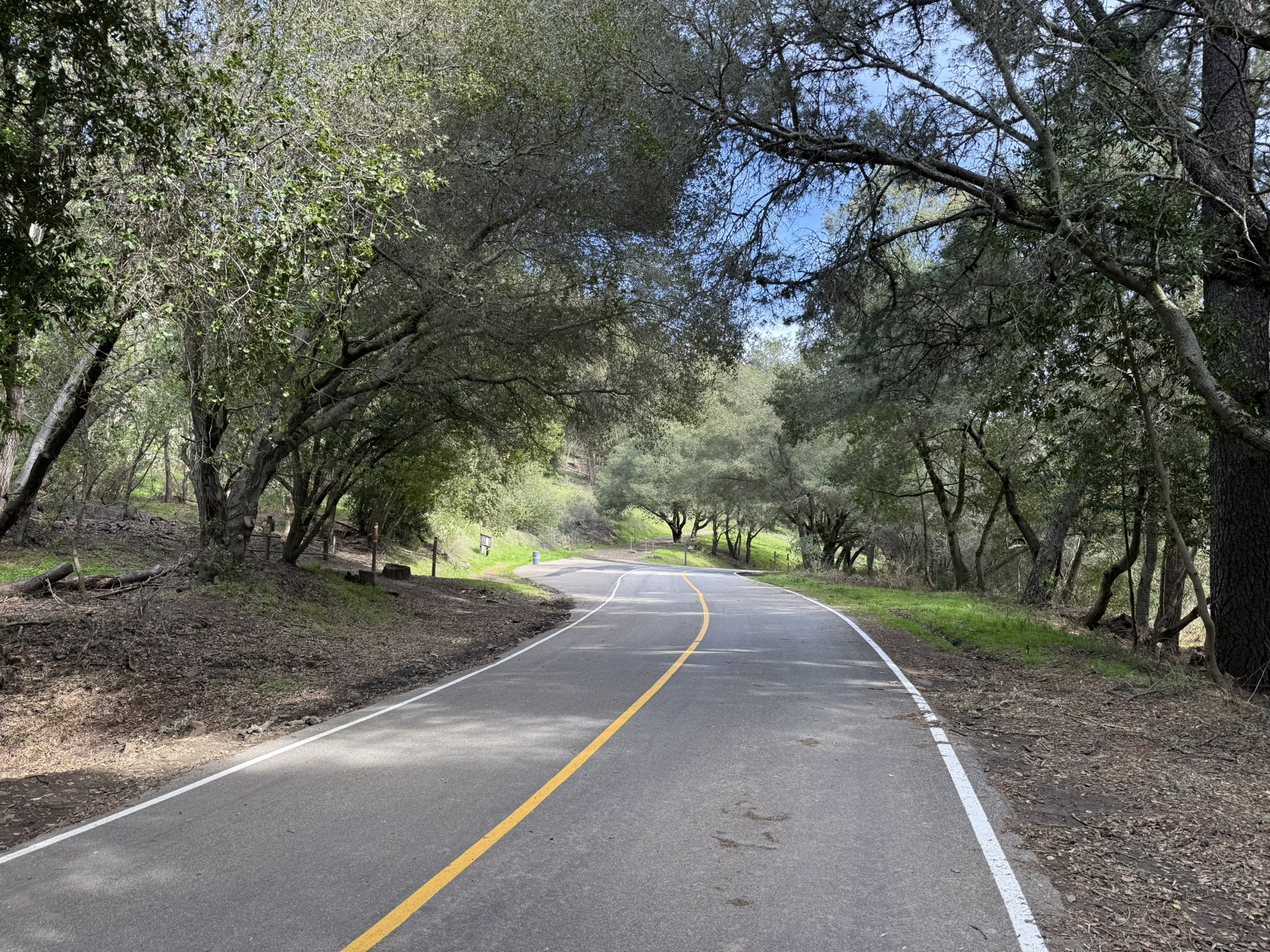 Tilden Regional Park East