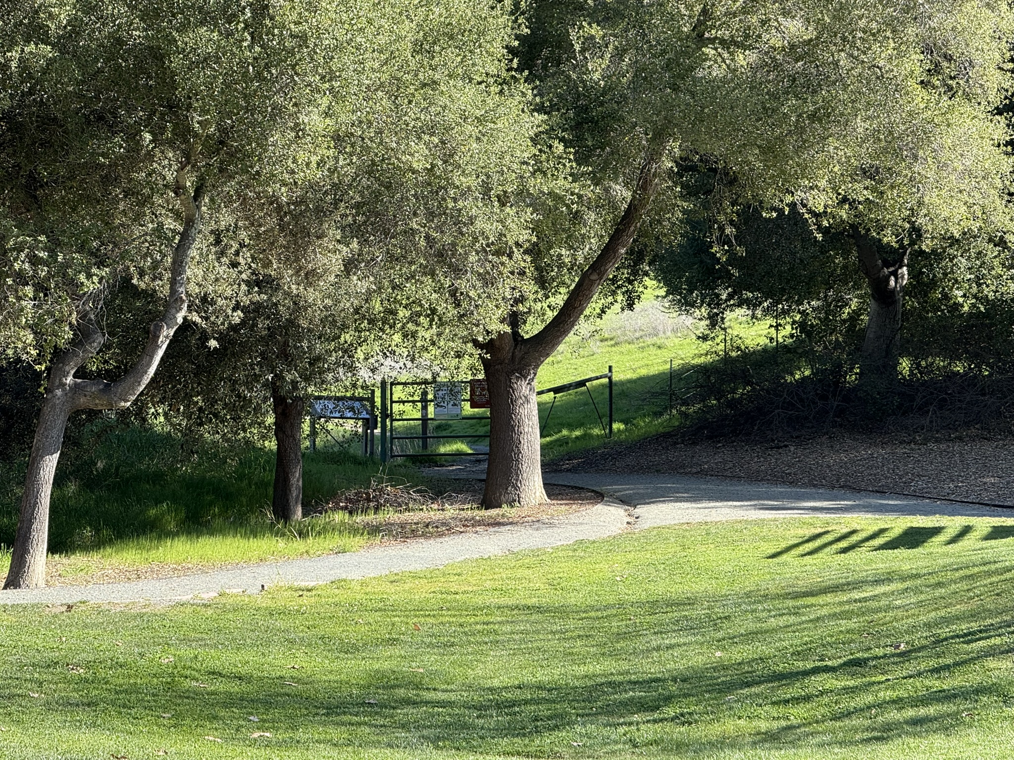 Sycamore Valley Open Space Regional Preserve