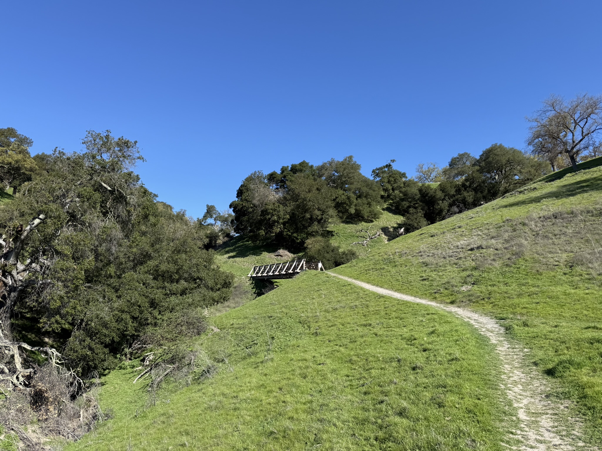 Sycamore Valley Open Space Regional Preserve