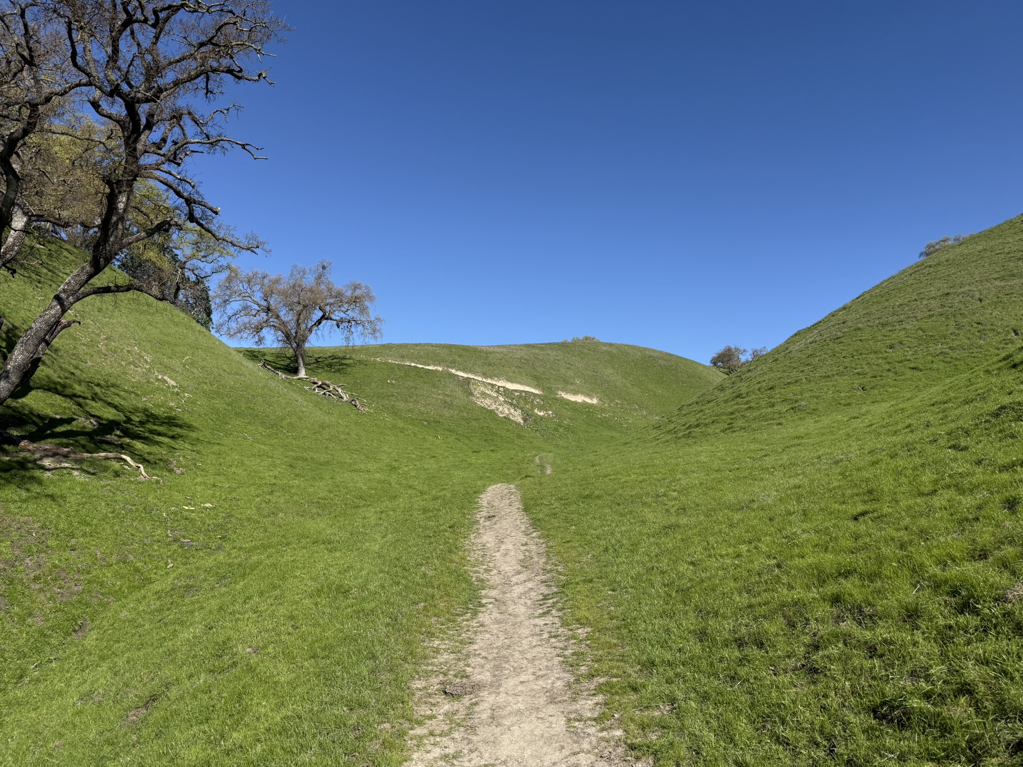 Sycamore Valley Open Space Regional Preserve