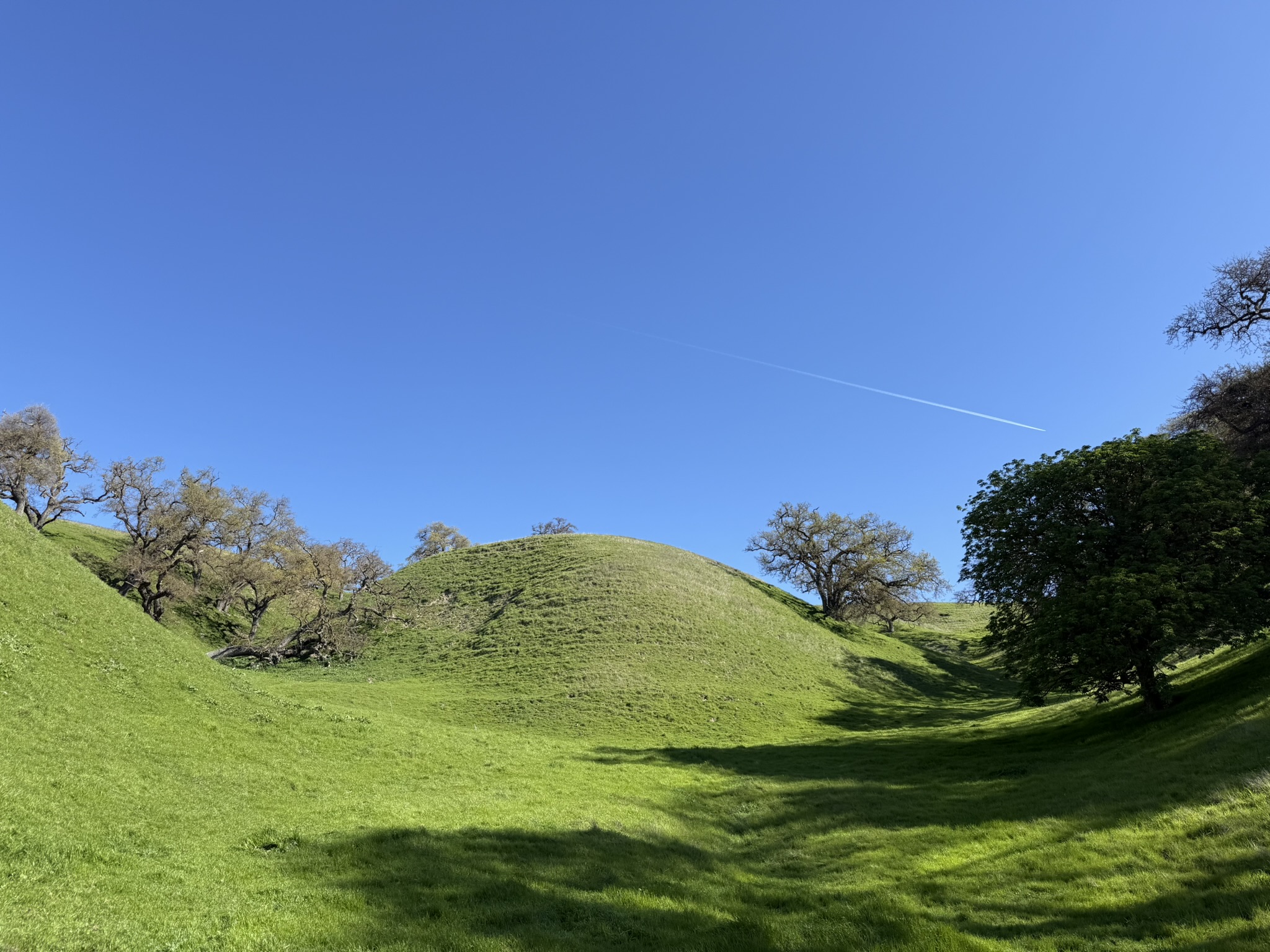 Sycamore Valley Open Space Regional Preserve