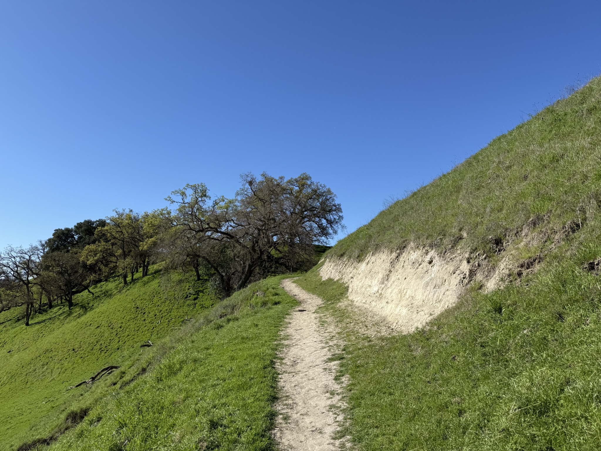 Sycamore Valley Open Space Regional Preserve