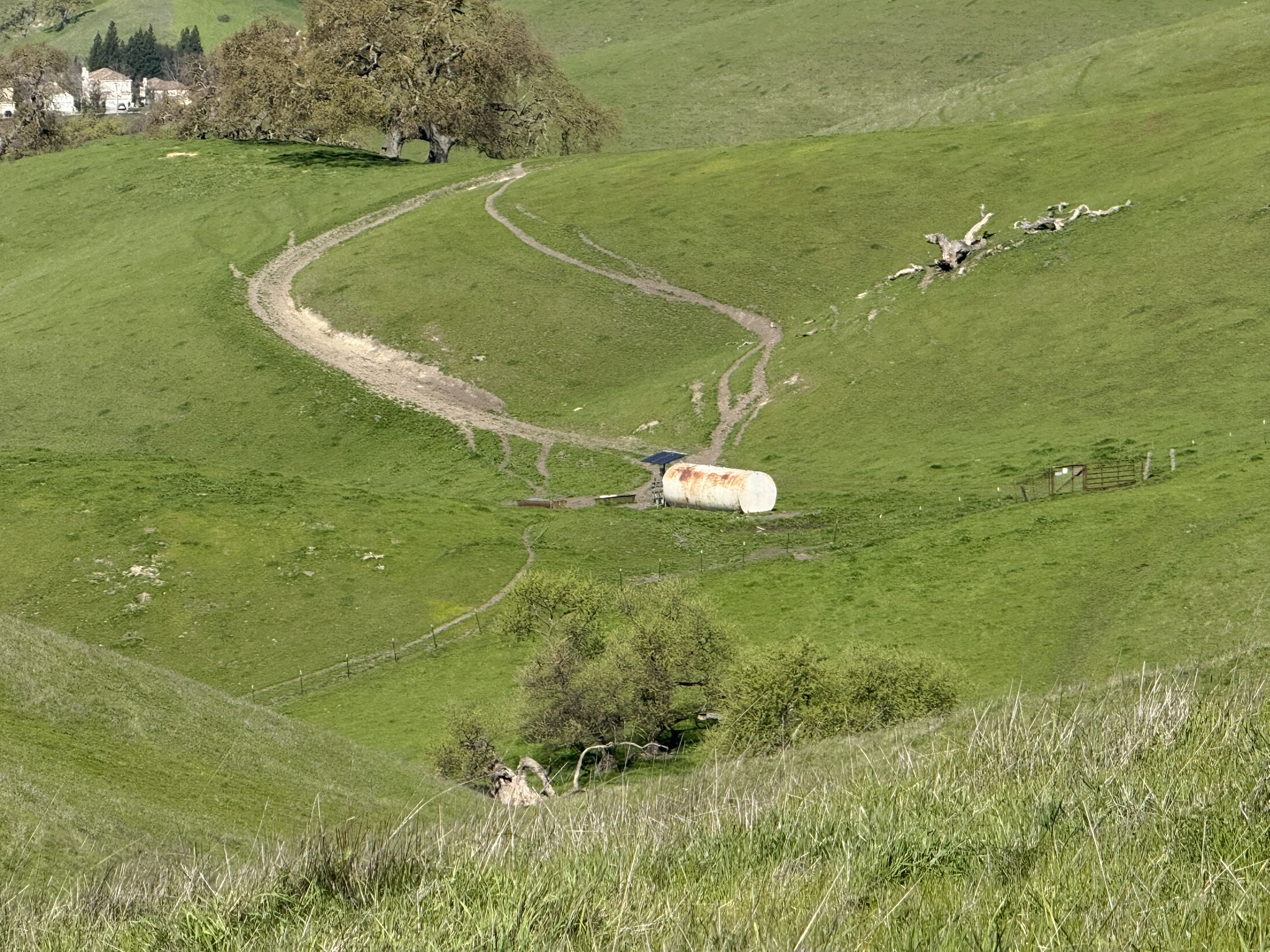 Sycamore Valley Open Space Regional Preserve