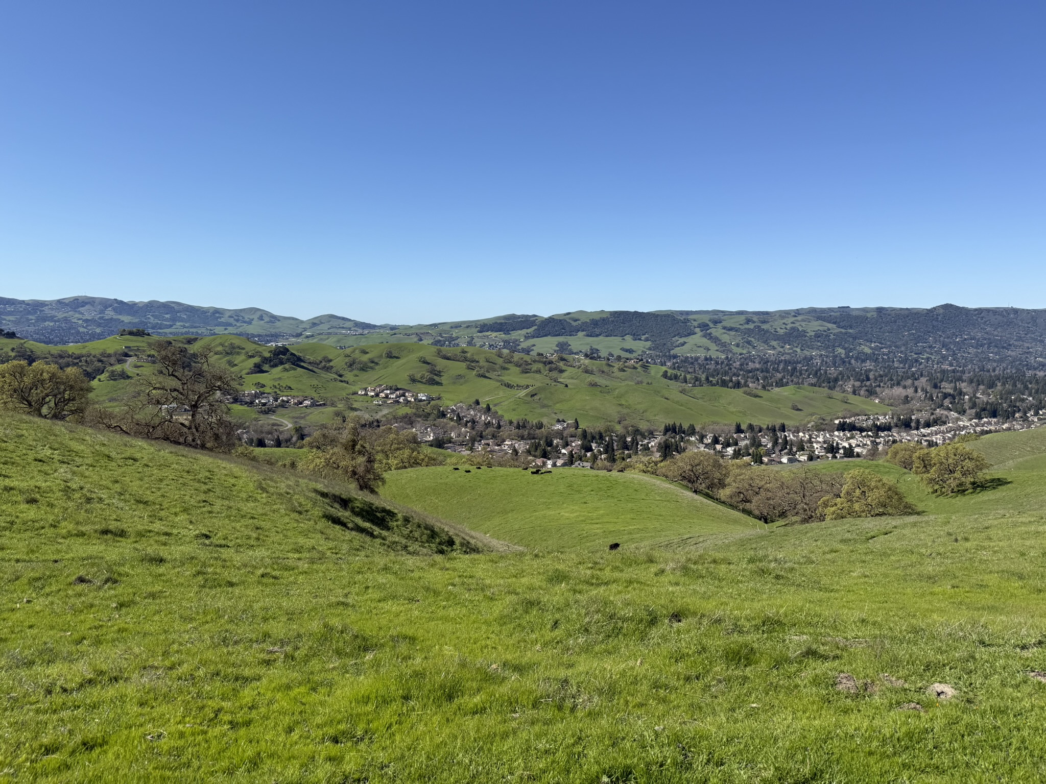 Sycamore Valley Open Space Regional Preserve