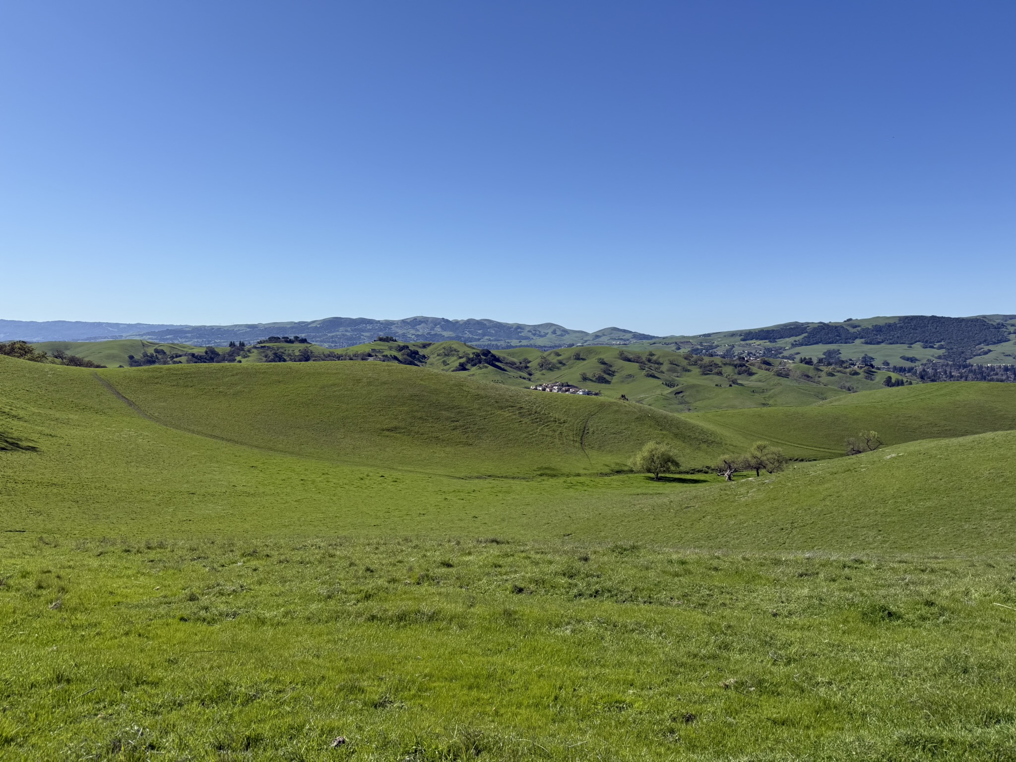 Sycamore Valley Open Space Regional Preserve