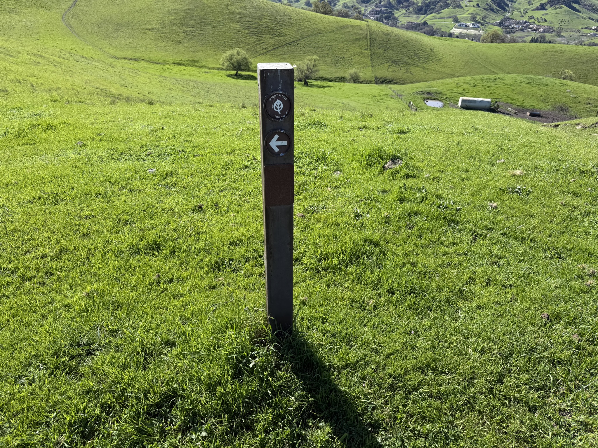 Sycamore Valley Open Space Regional Preserve