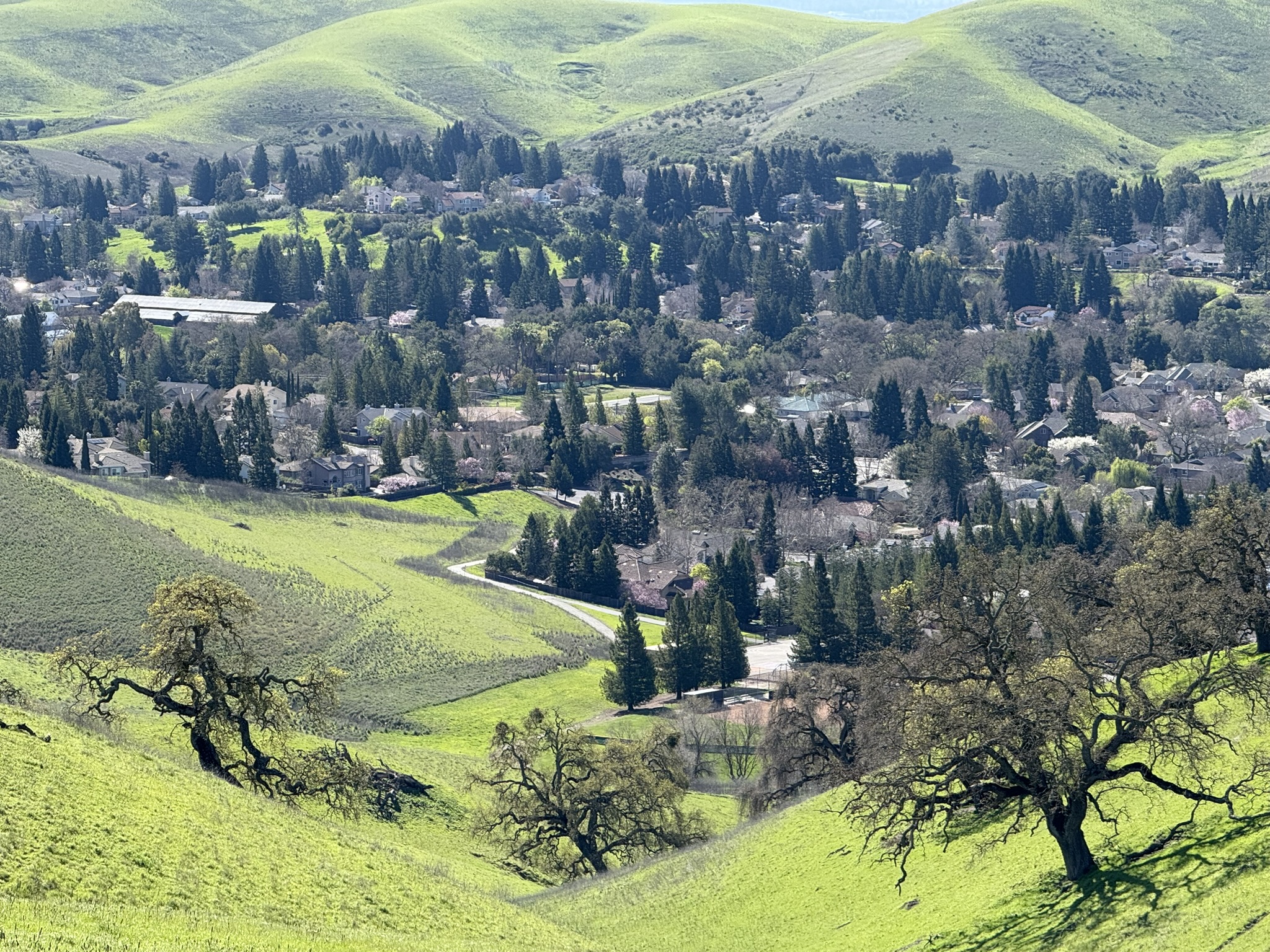 Sycamore Valley Open Space Regional Preserve