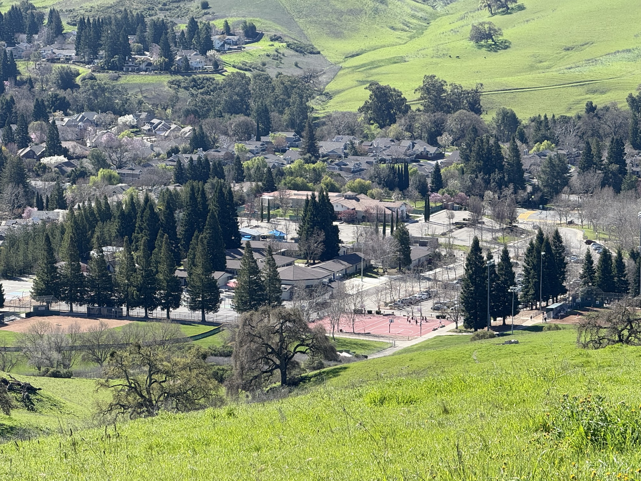 Sycamore Valley Open Space Regional Preserve