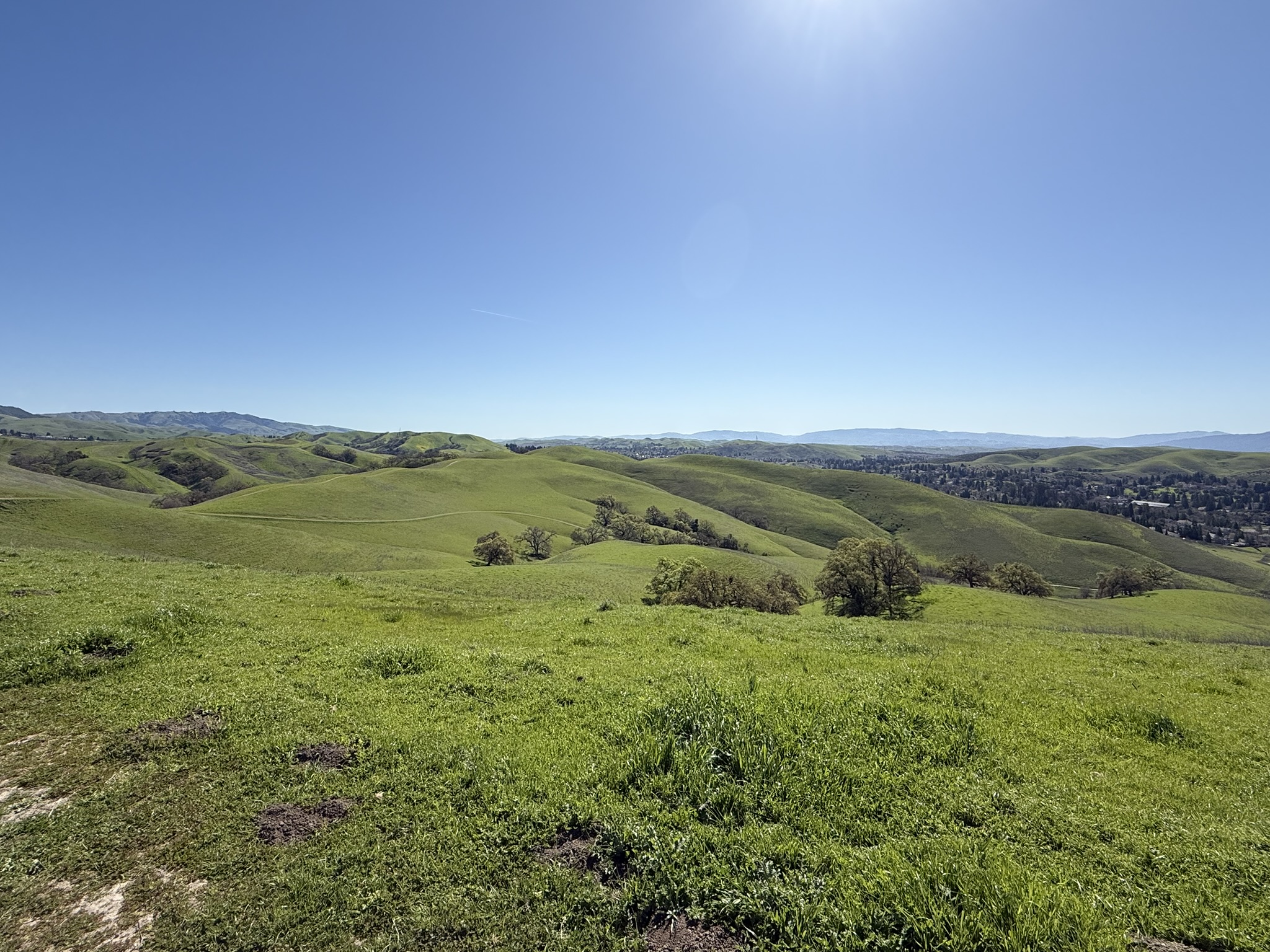 Sycamore Valley Open Space Regional Preserve