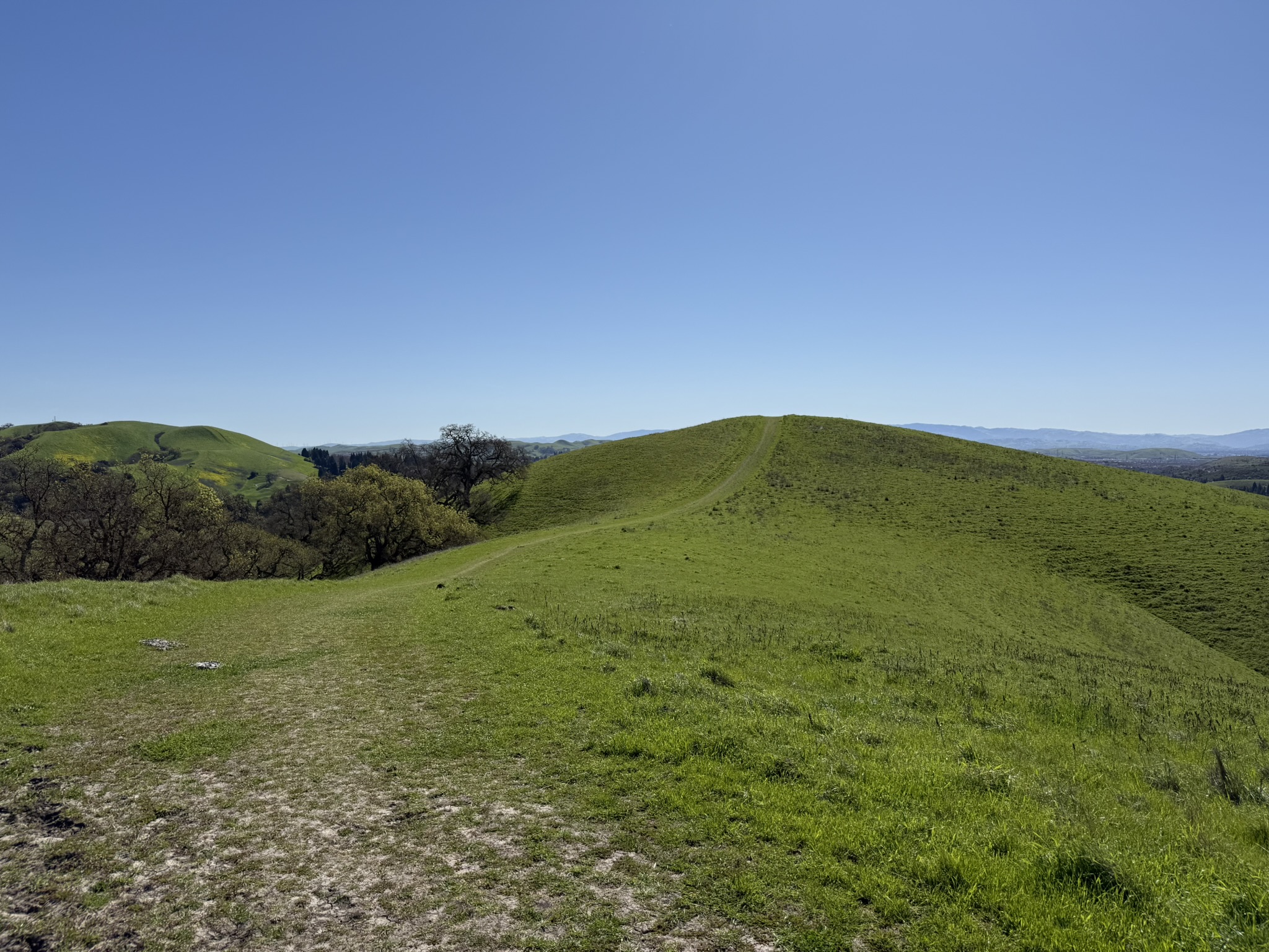 Sycamore Valley Open Space Regional Preserve