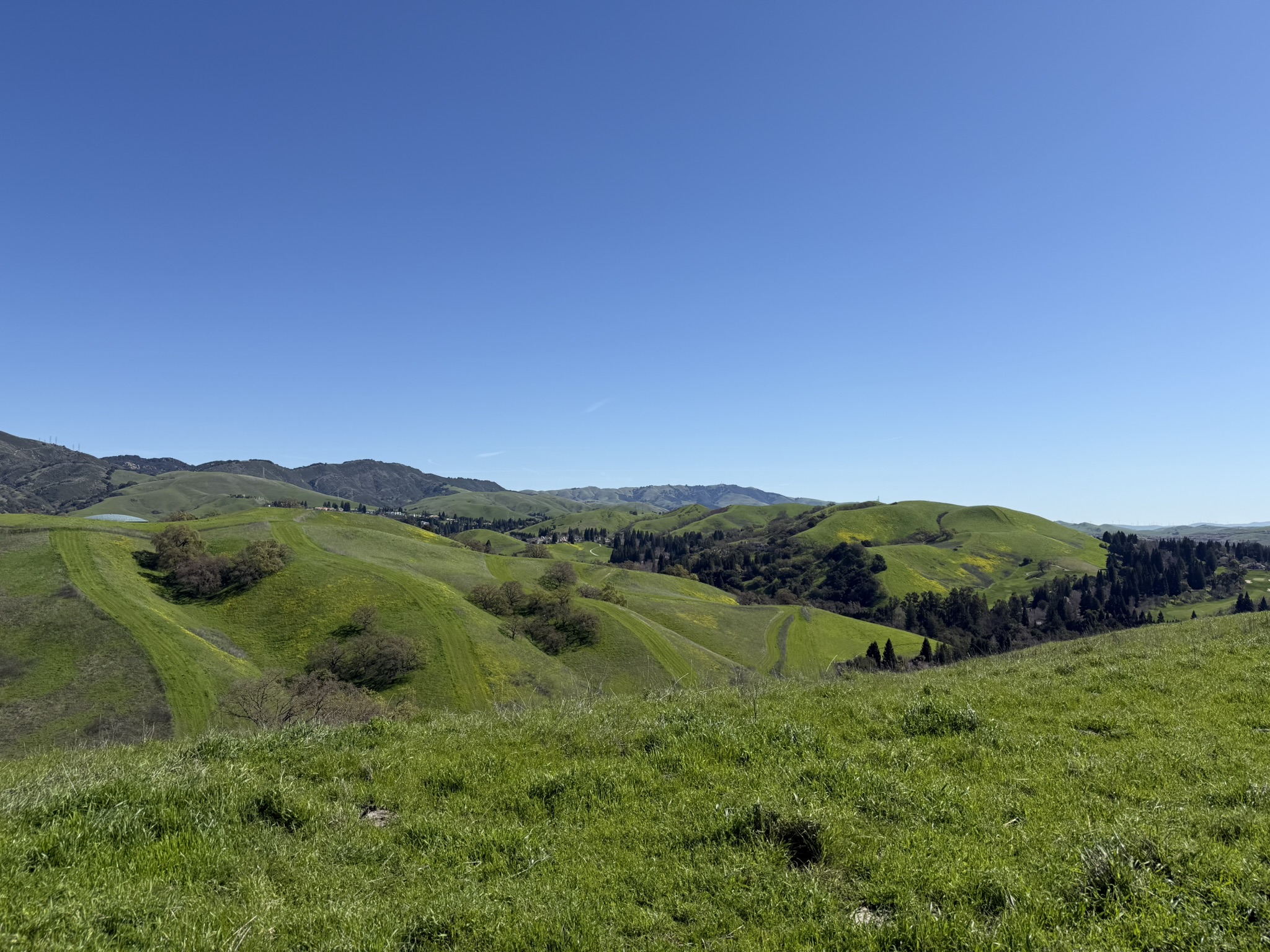 Sycamore Valley Open Space Regional Preserve