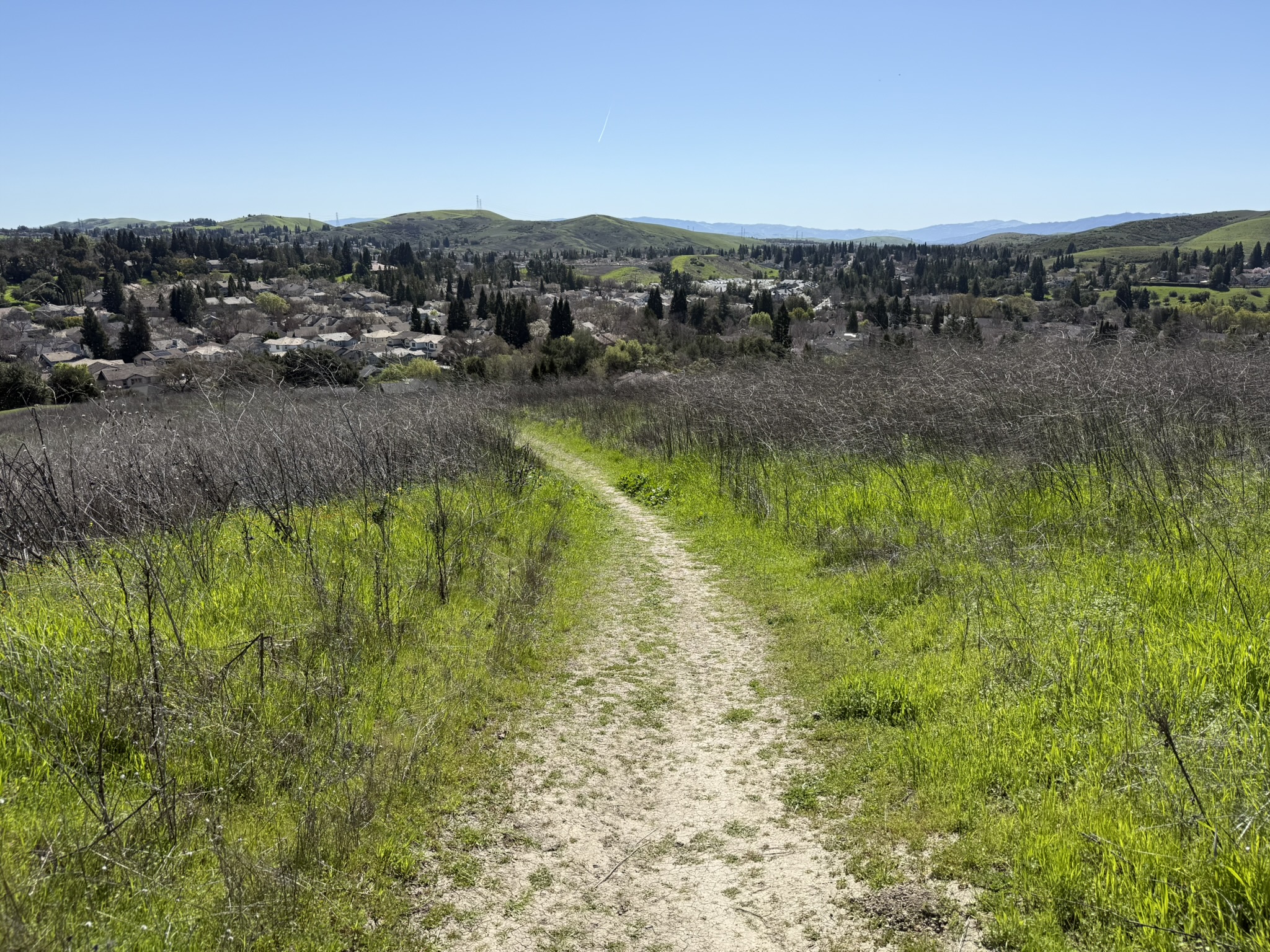 Sycamore Valley Open Space Regional Preserve