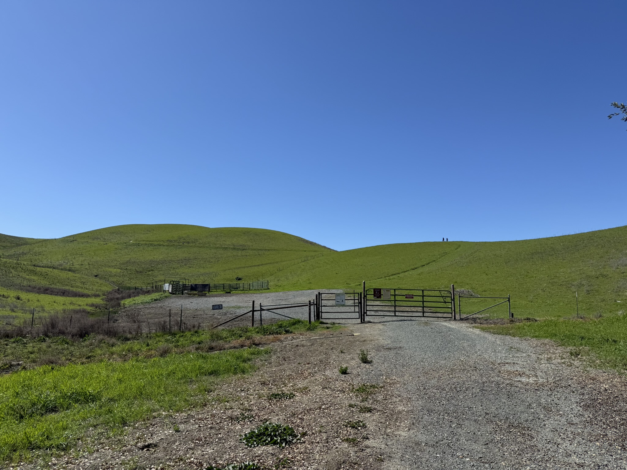 Sycamore Valley Open Space Regional Preserve