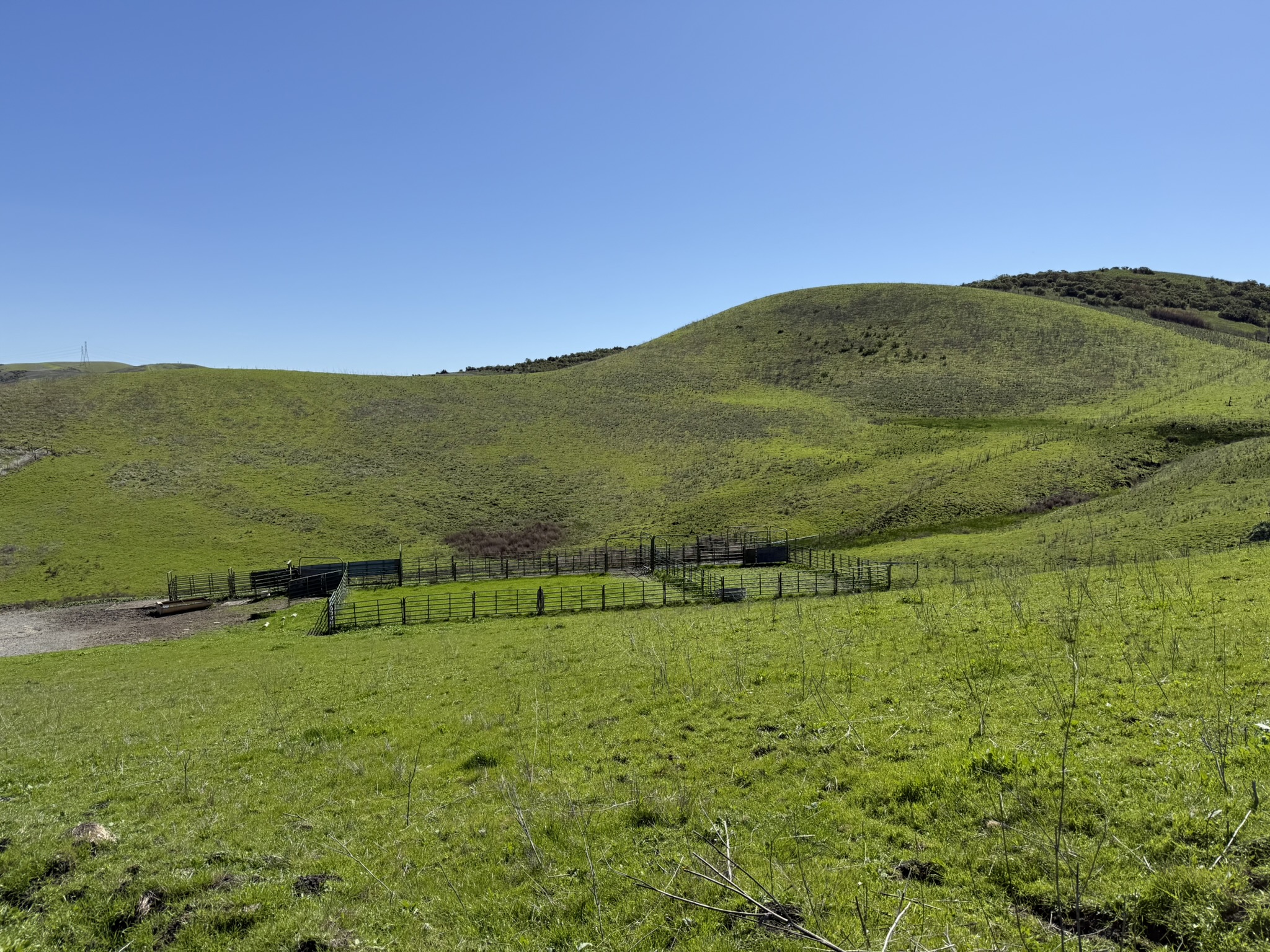 Sycamore Valley Open Space Regional Preserve