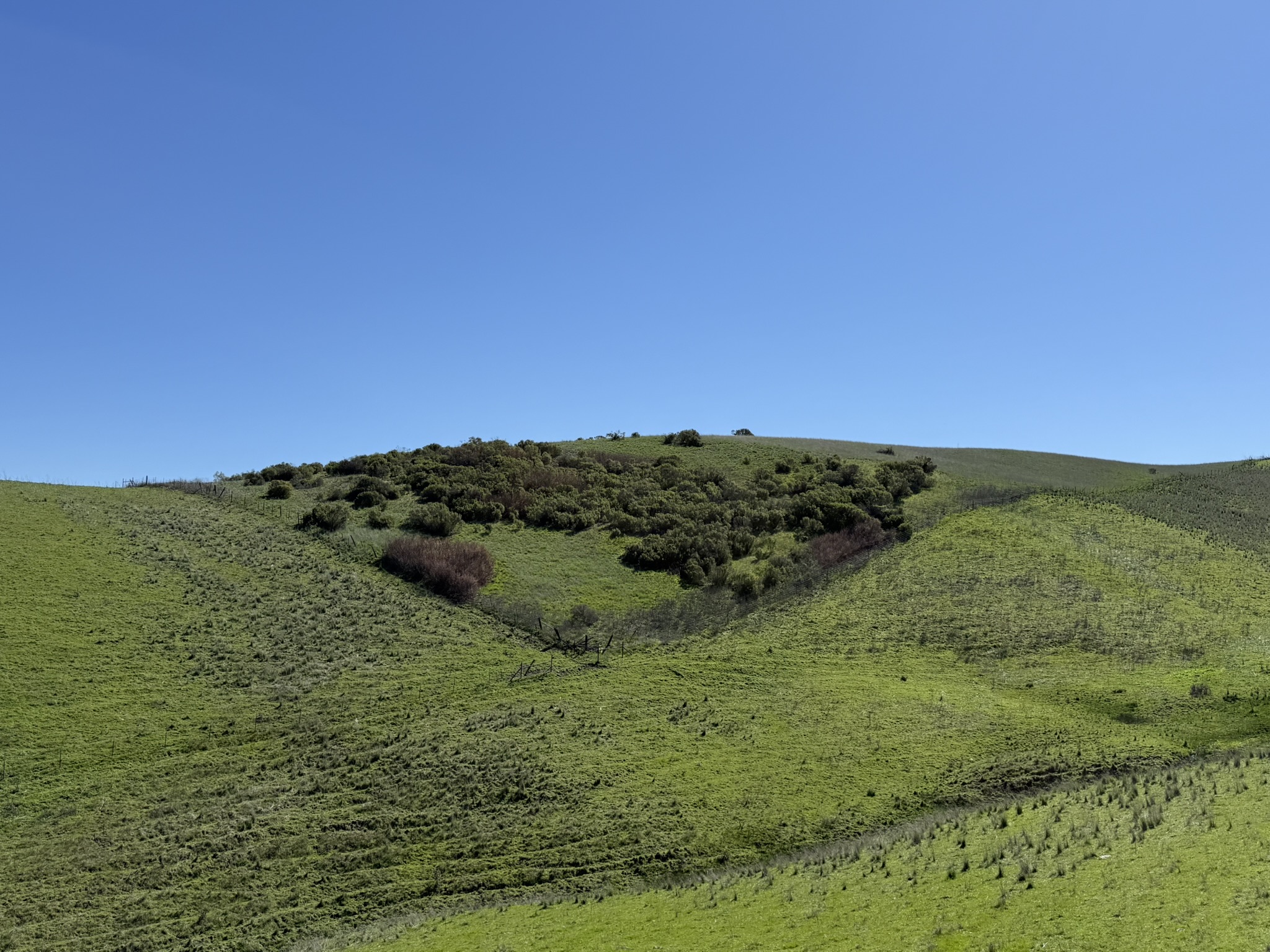 Sycamore Valley Open Space Regional Preserve