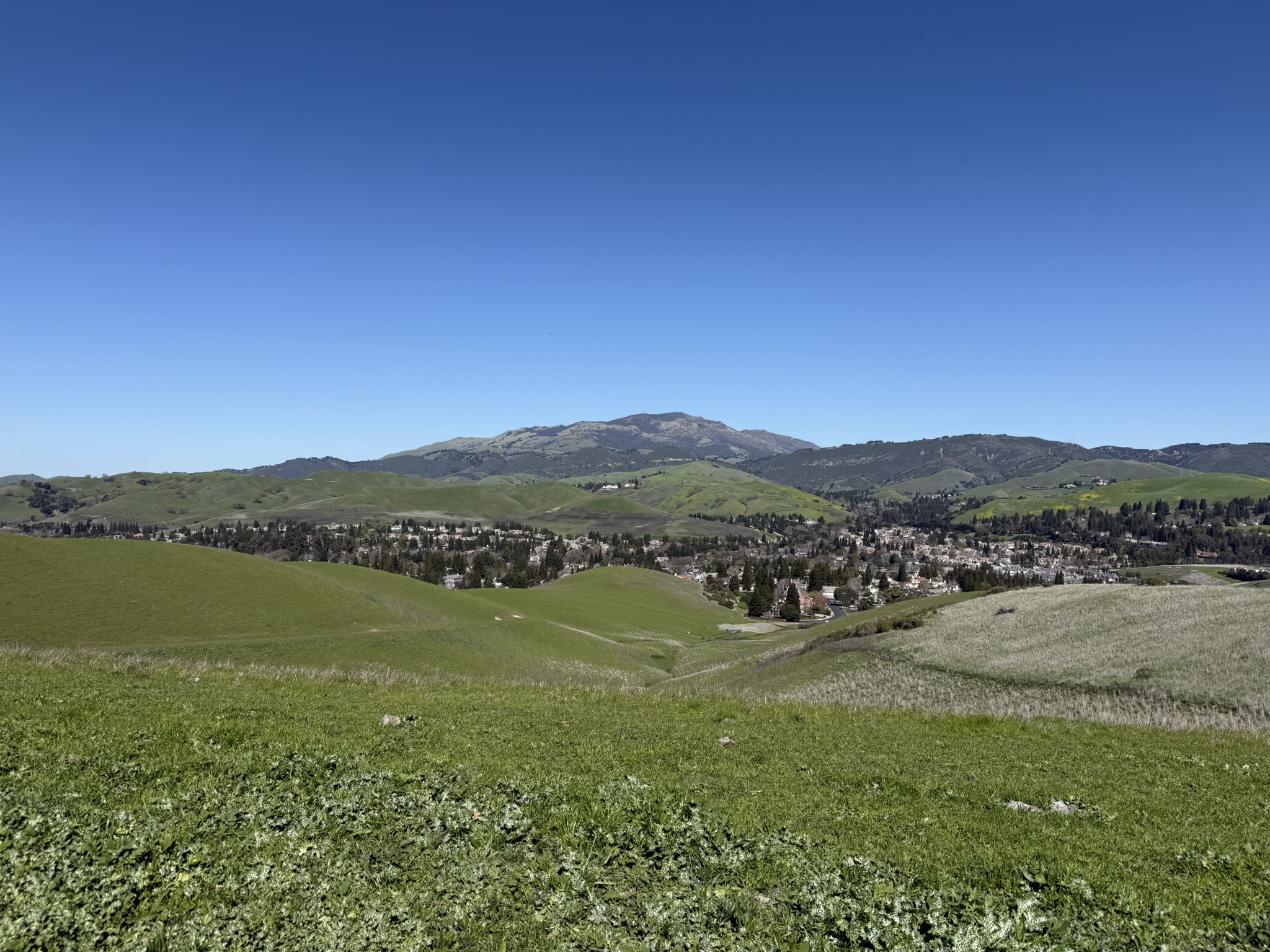 Sycamore Valley Open Space Regional Preserve