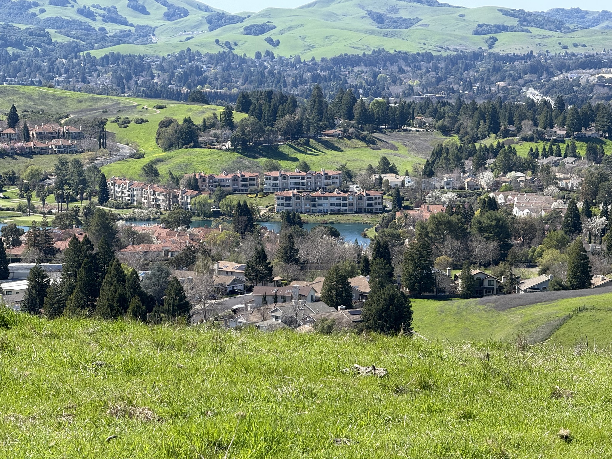 Sycamore Valley Open Space Regional Preserve