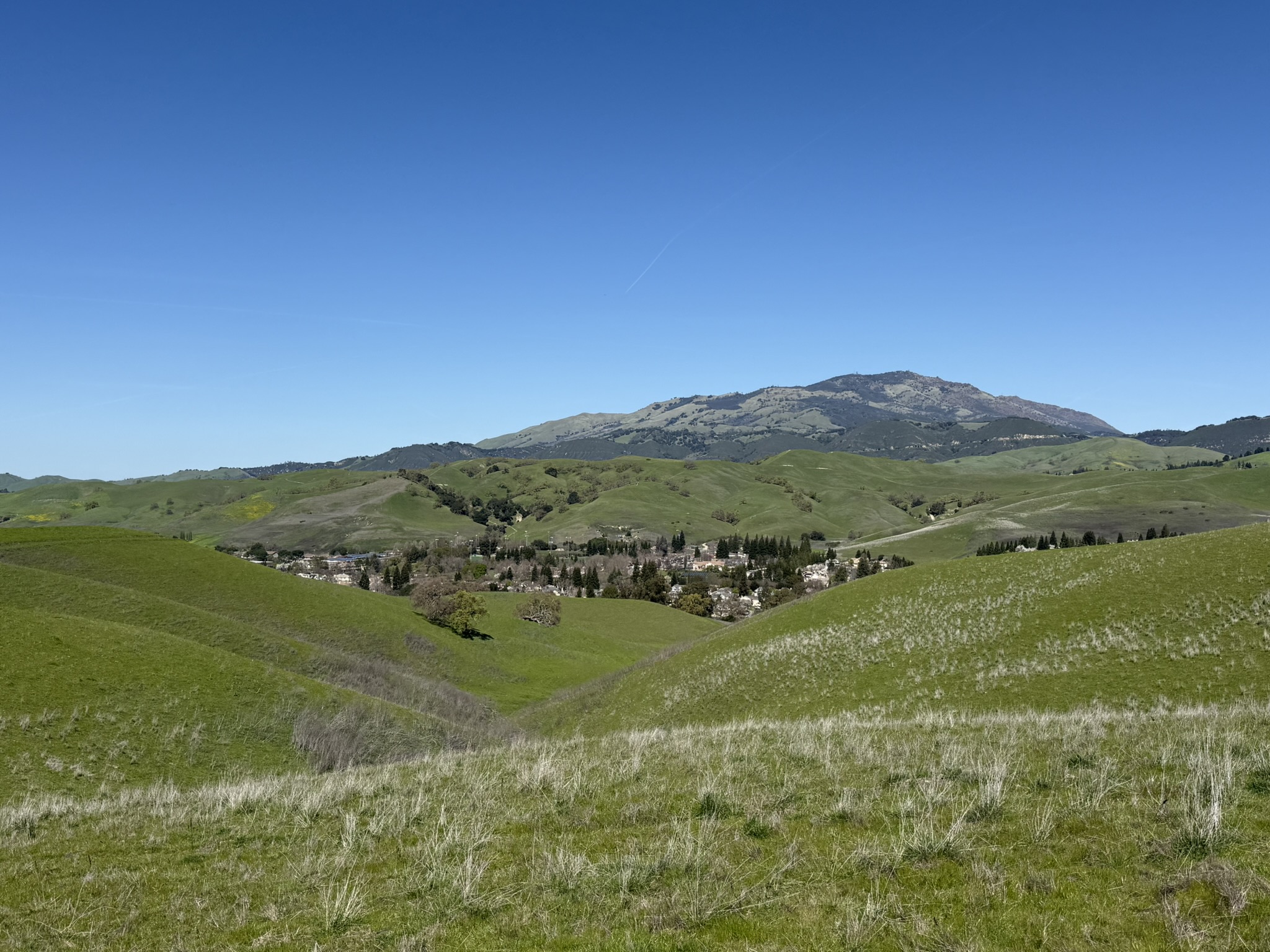 Sycamore Valley Open Space Regional Preserve