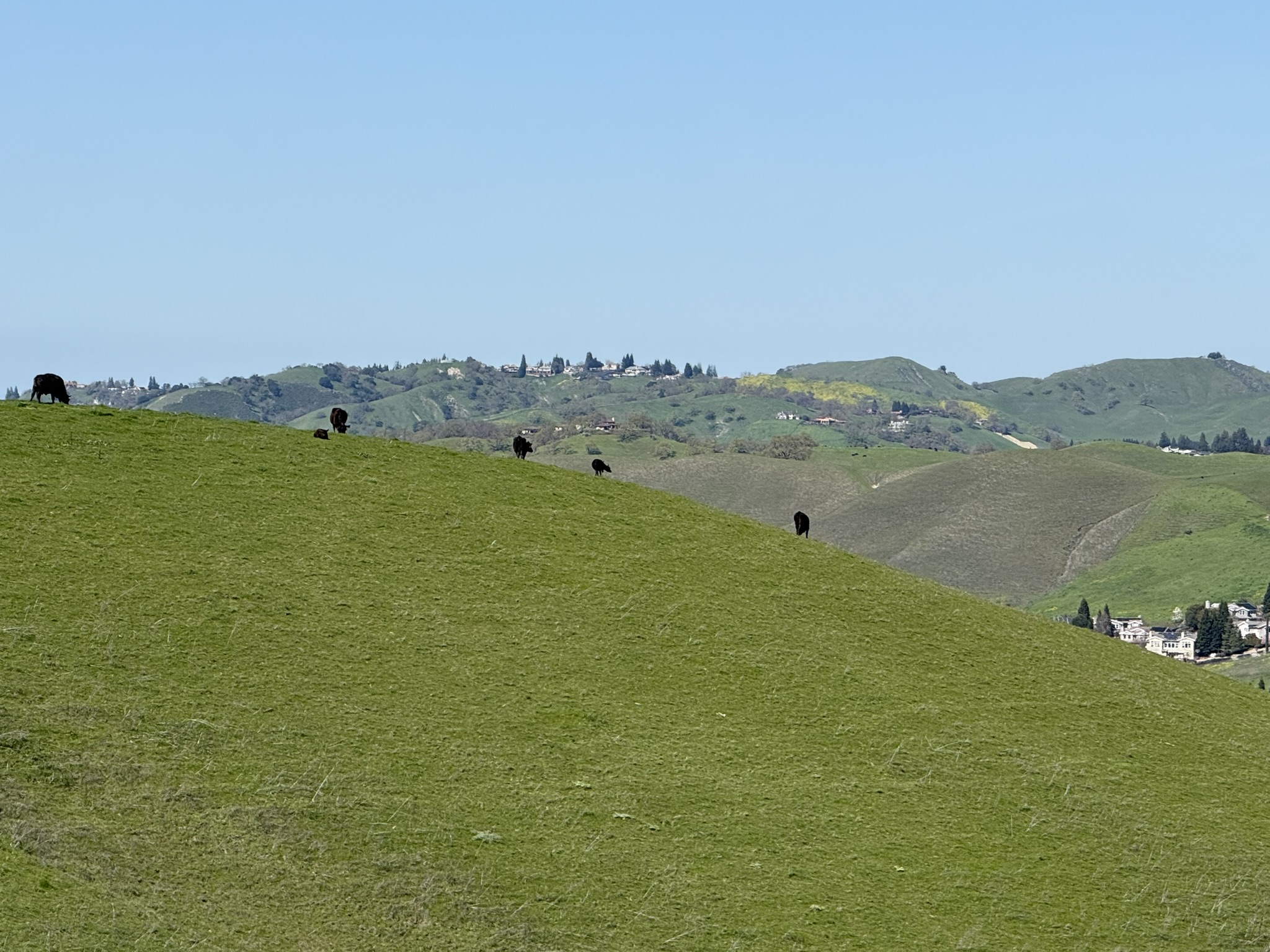 Sycamore Valley Open Space Regional Preserve