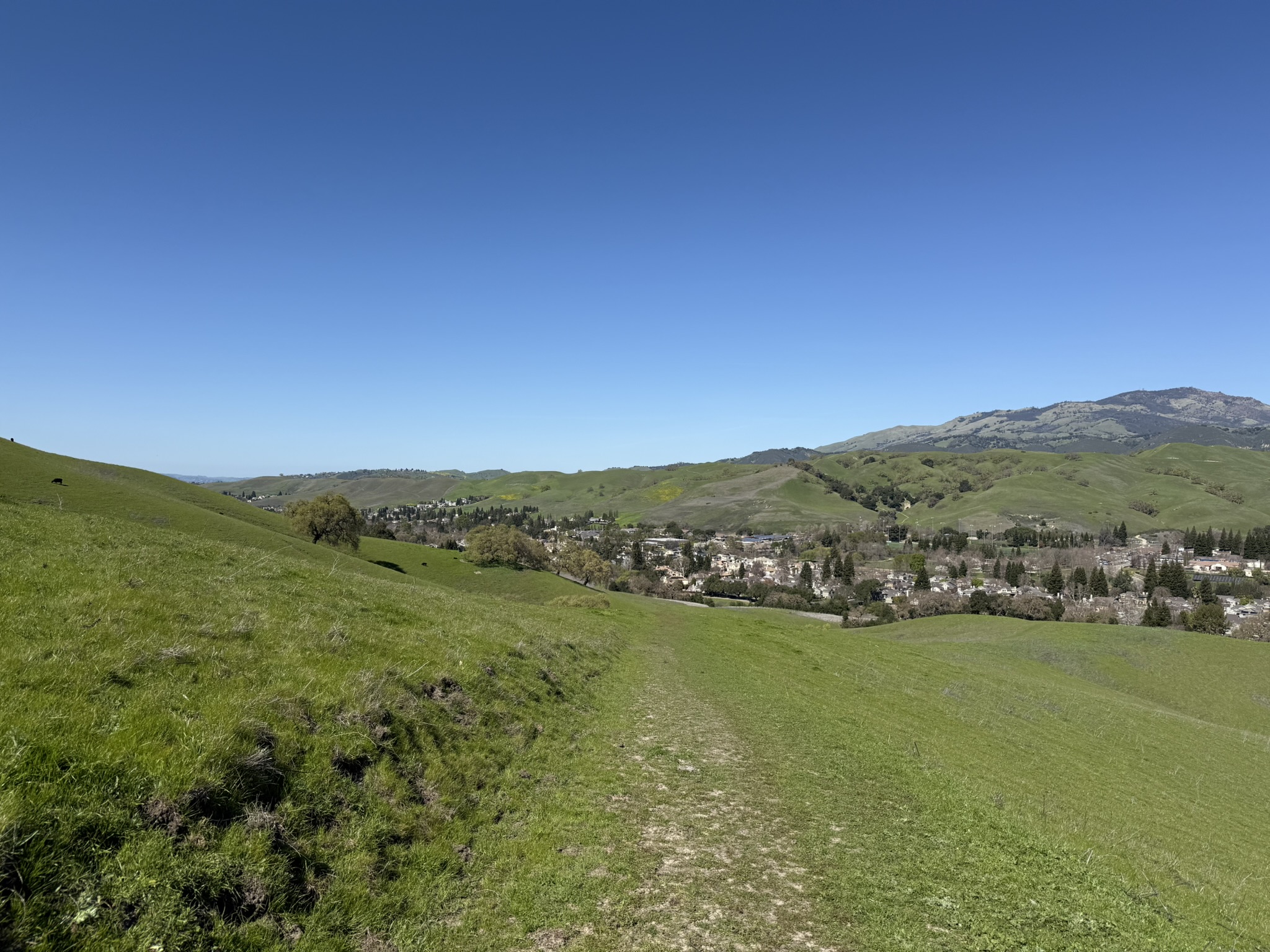 Sycamore Valley Open Space Regional Preserve