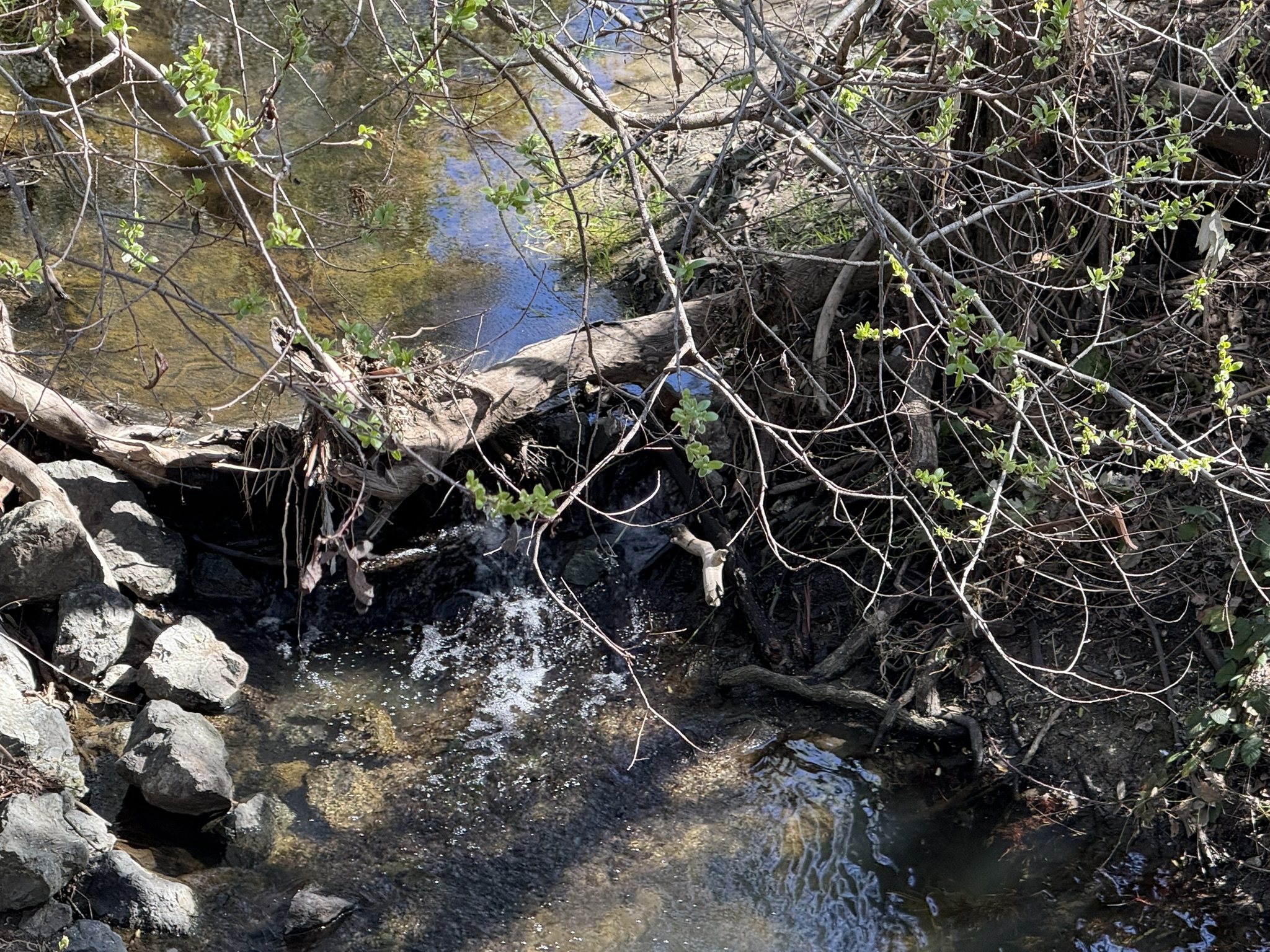 Sycamore Valley Open Space Regional Preserve