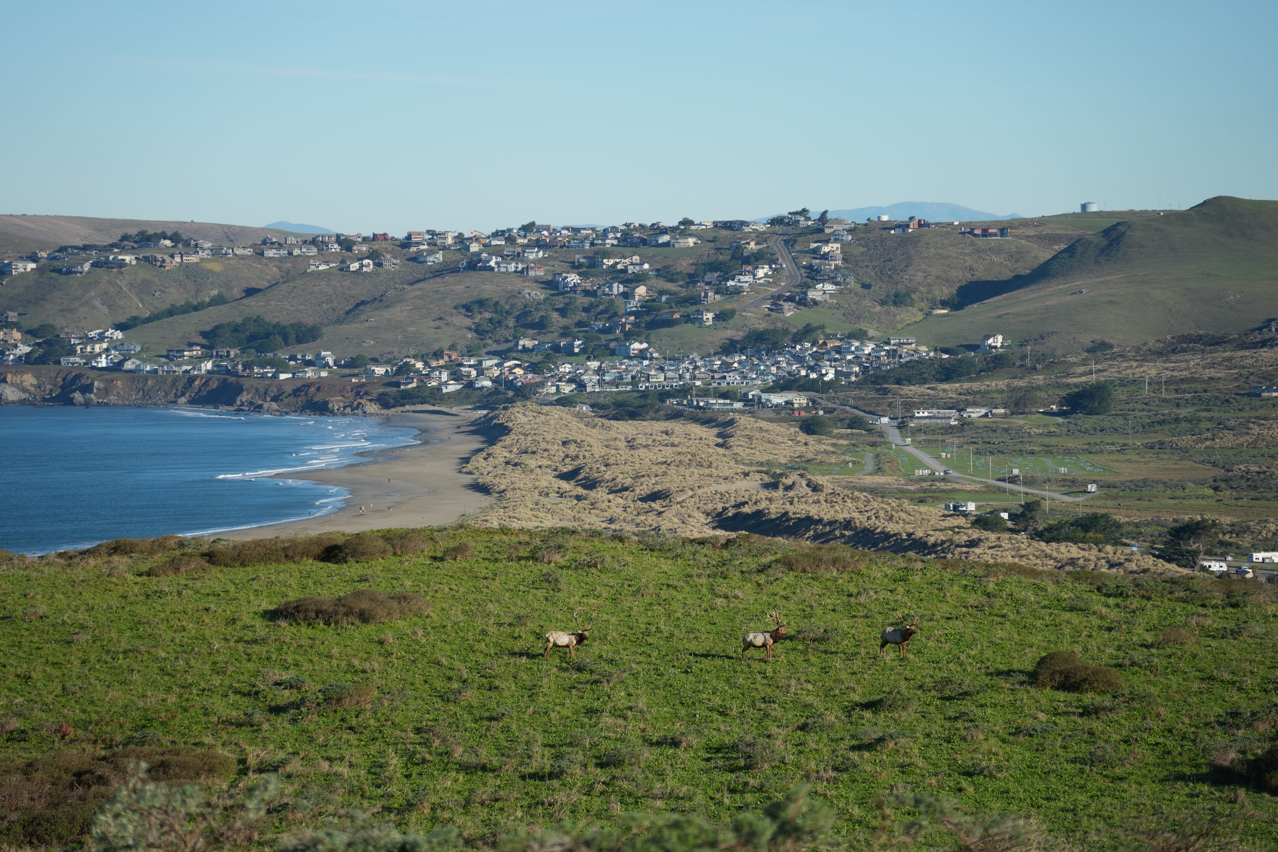 Tomales Point Trail 另一侧的 Tomales Bay 边上都是民宅