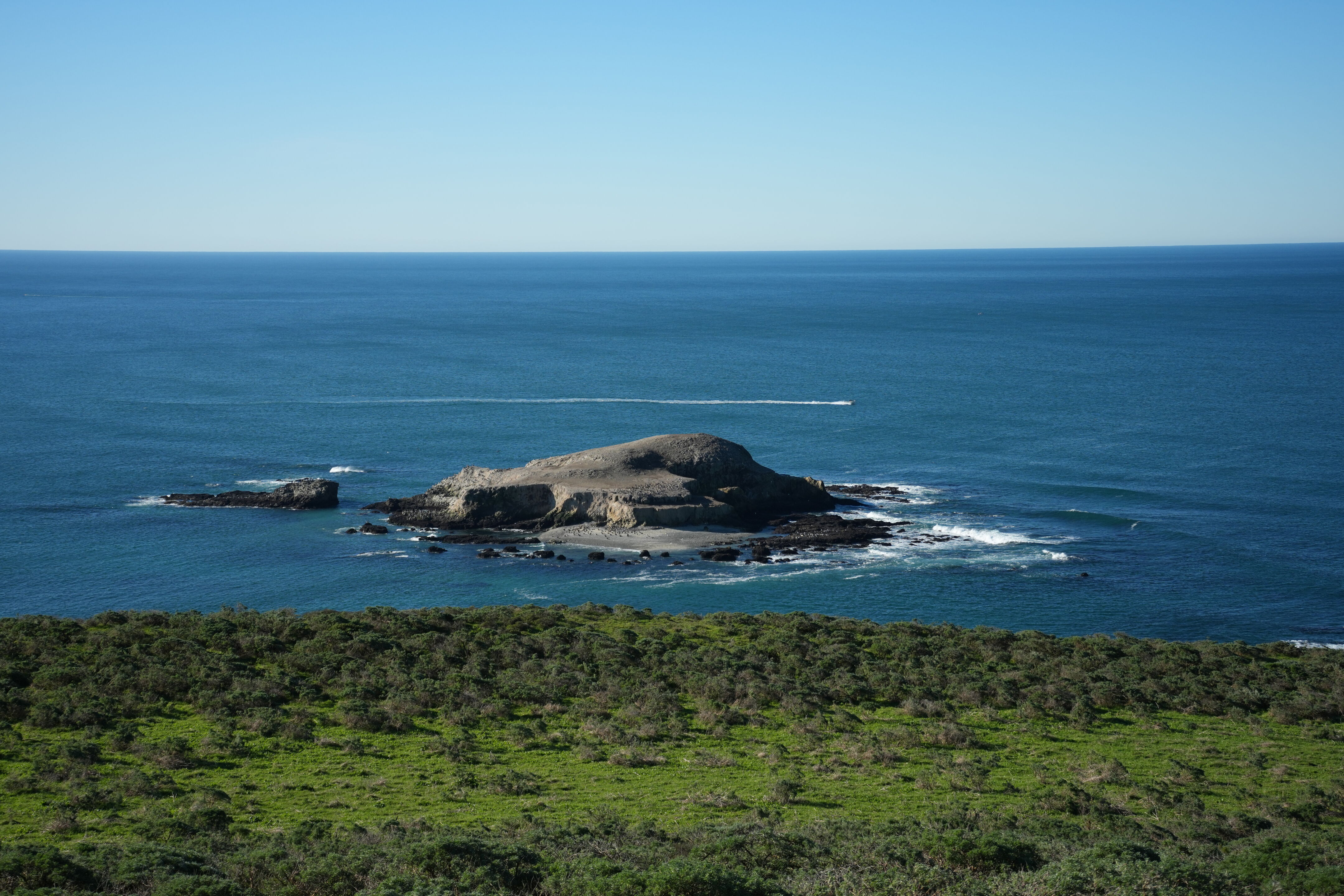 Tomales Point Trail 边上的小岛上住满了海鸟
